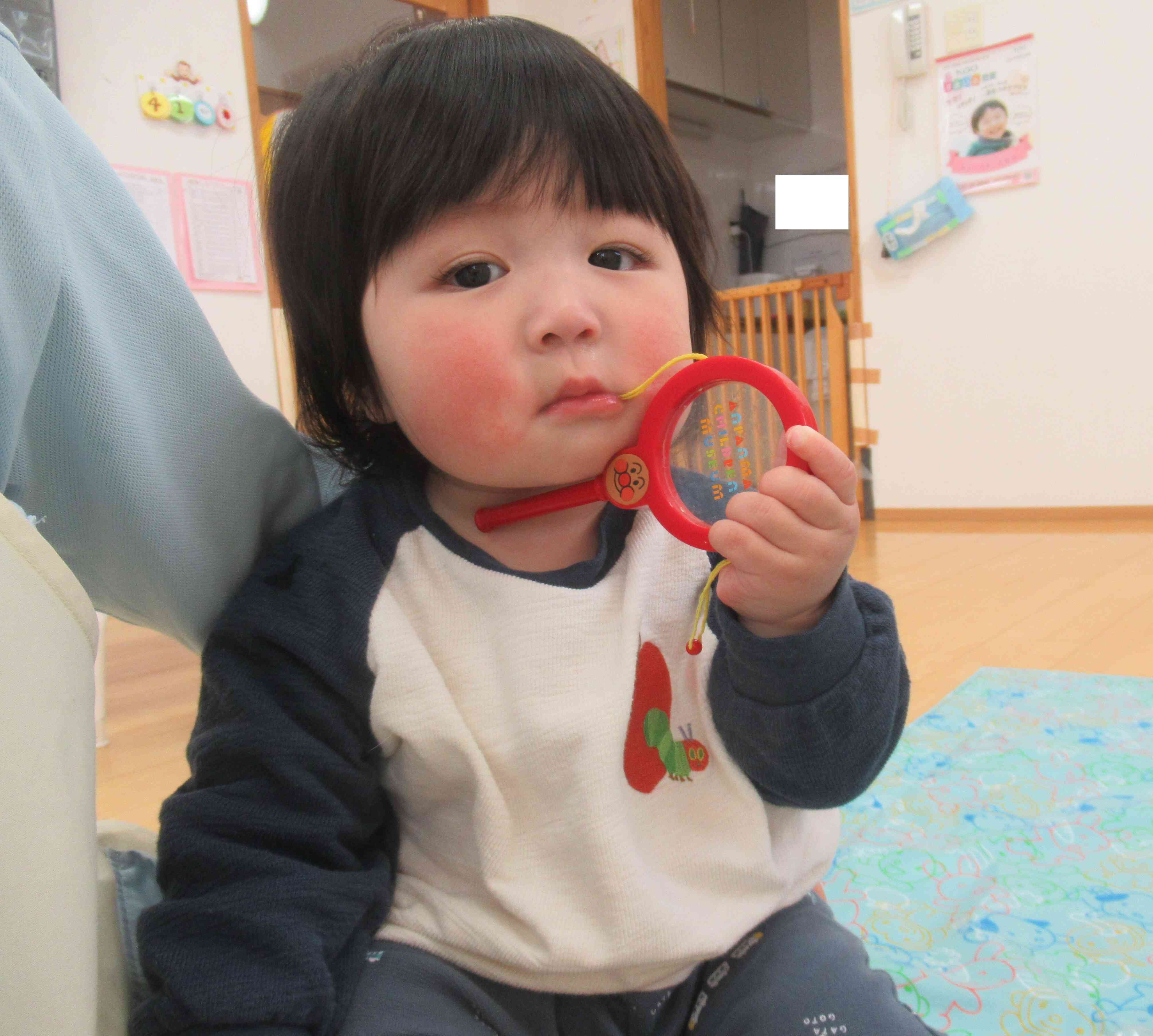 ひよこ組の様子