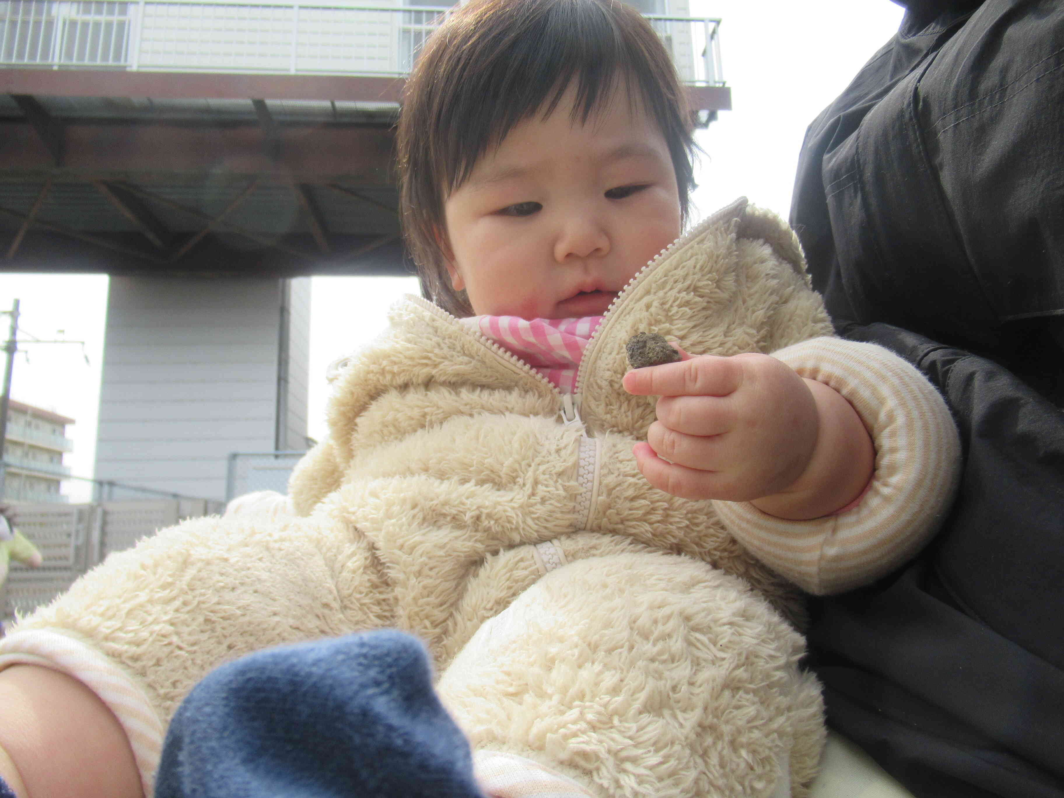 石、み～つけた！