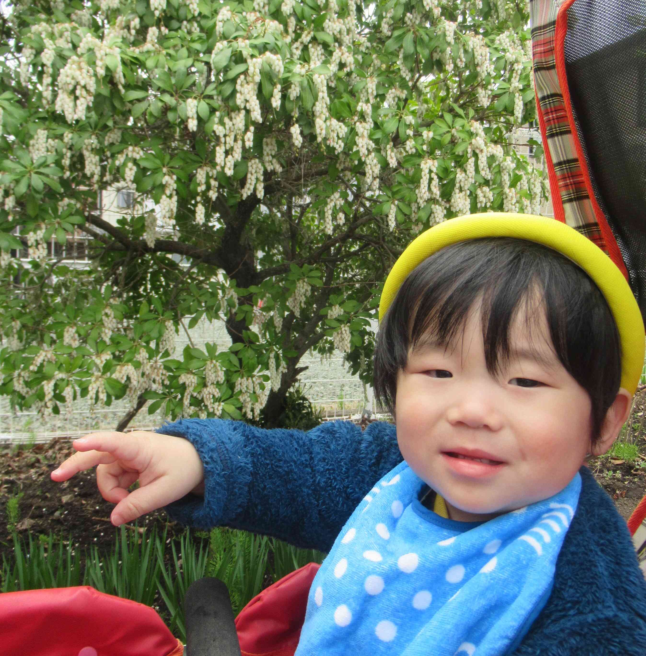 公園にいっぱいお花あったよ