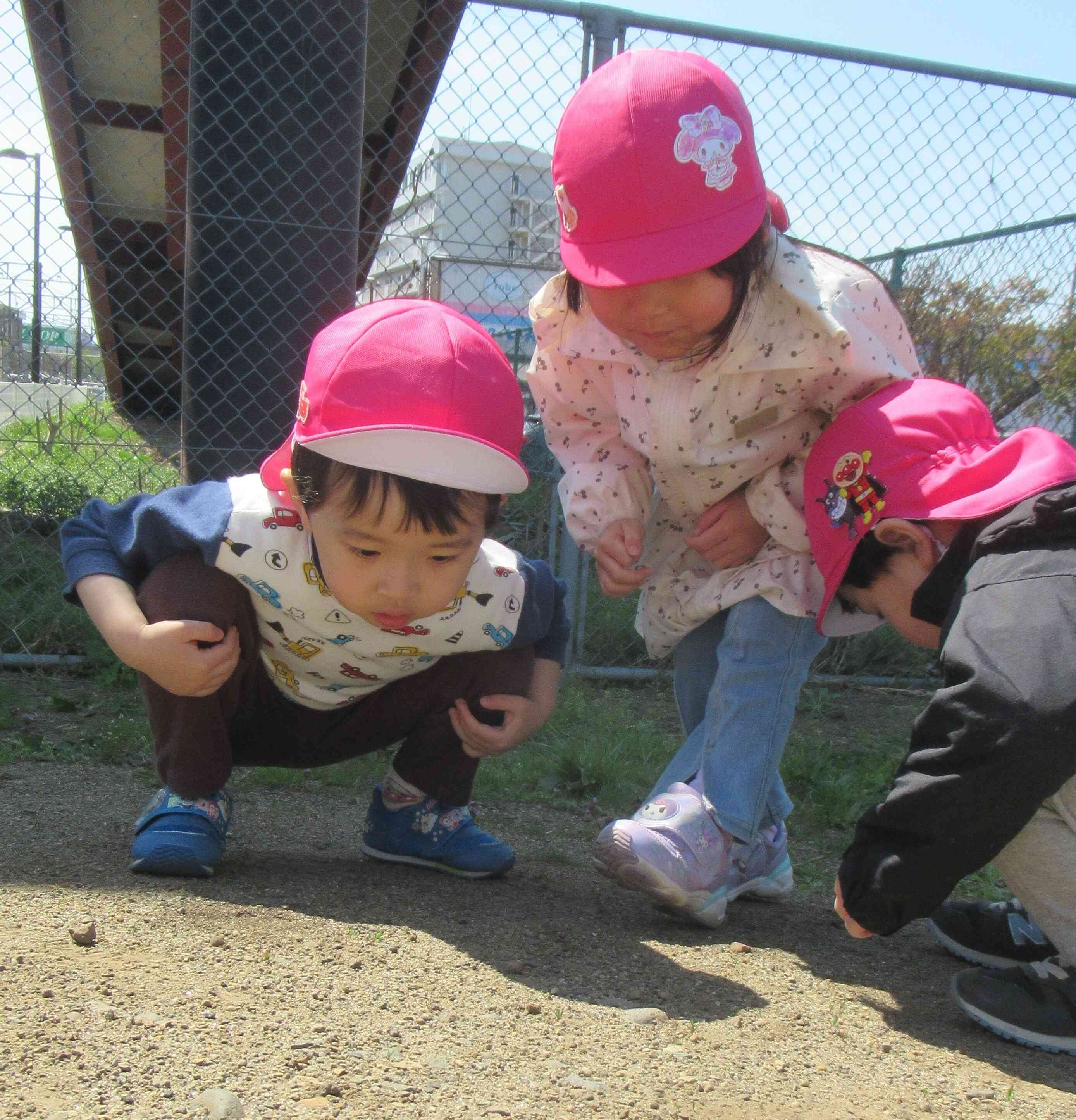 園庭遊びの様子（3歳児の様子）