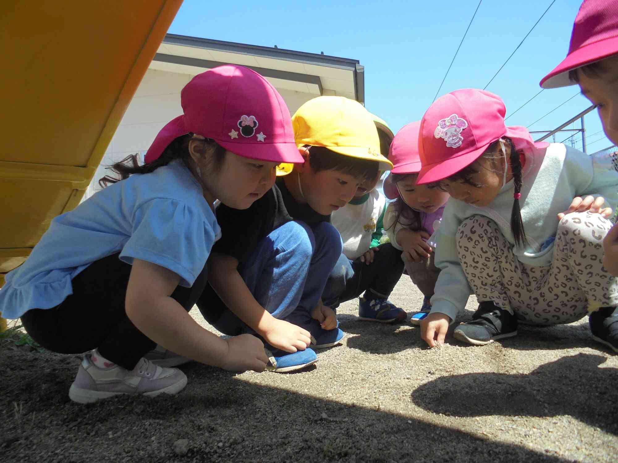 園庭には色々な発見があります！