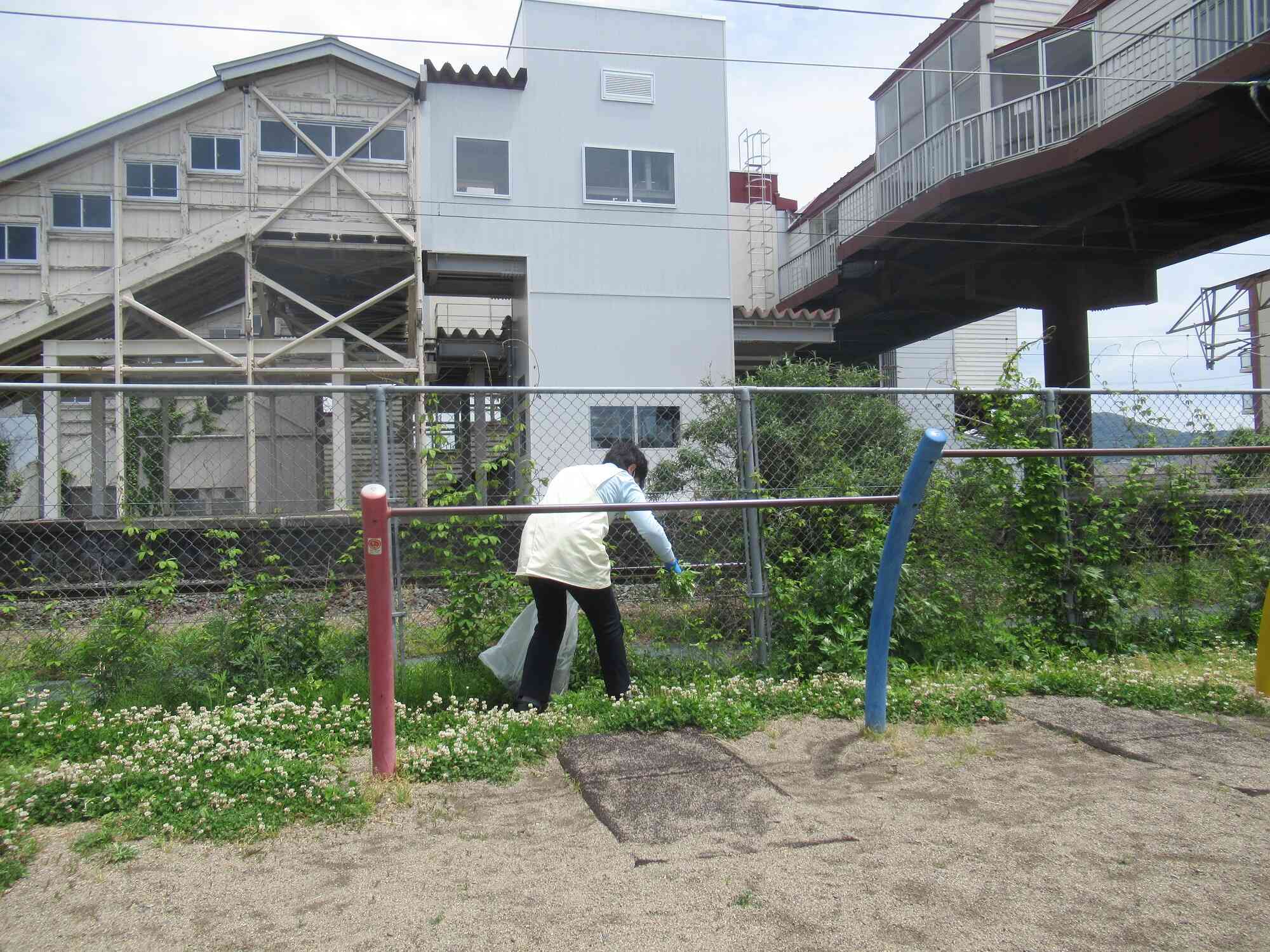 園長先生も一緒に草取りしました