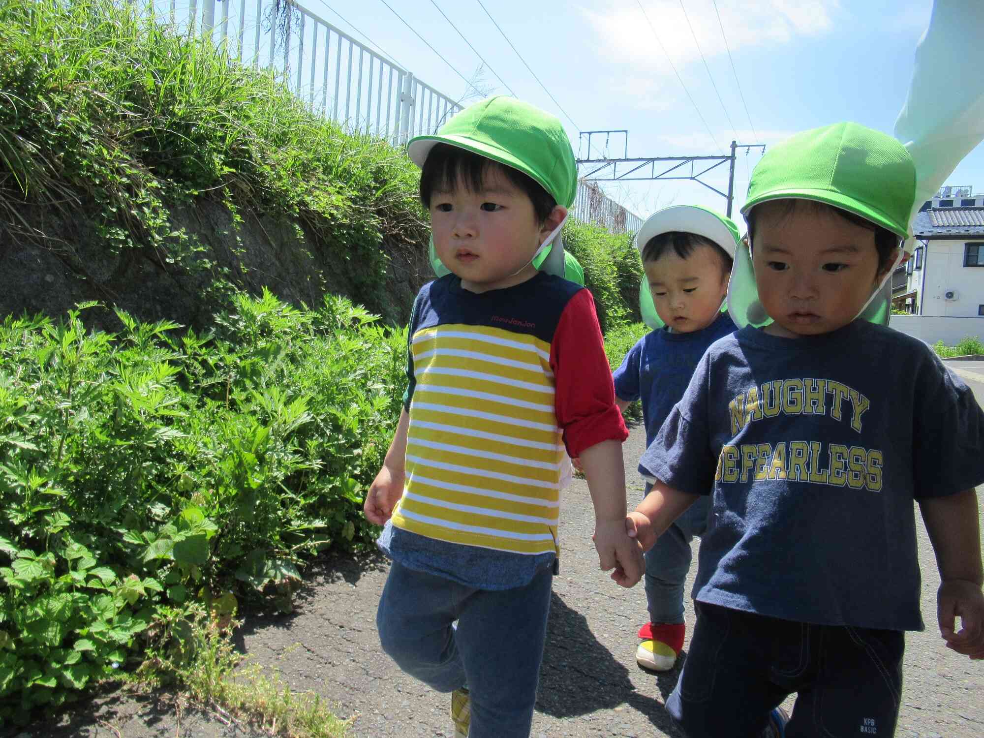 今日はどこまでお散歩行こうかな？
