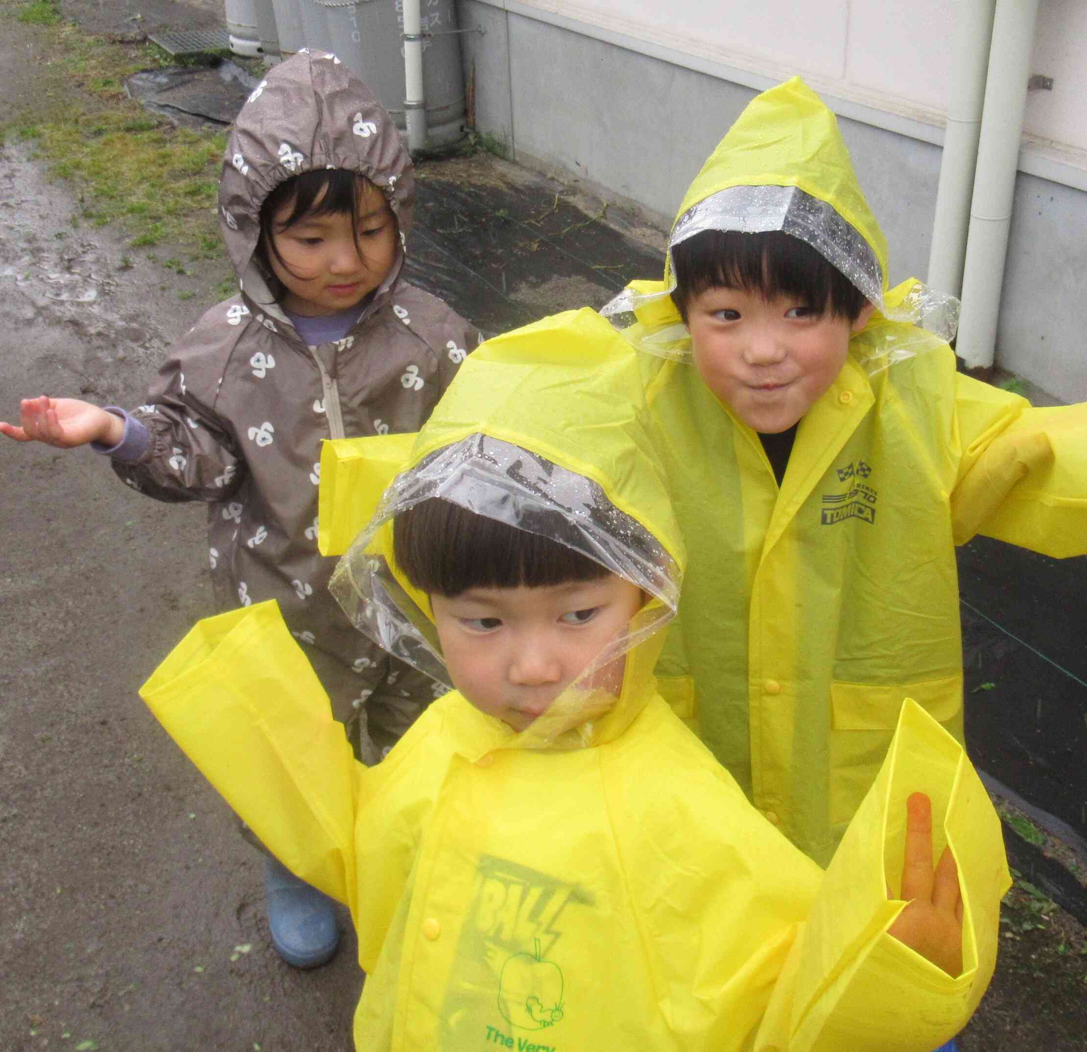 雨を浴びながらお散歩、楽しいね！