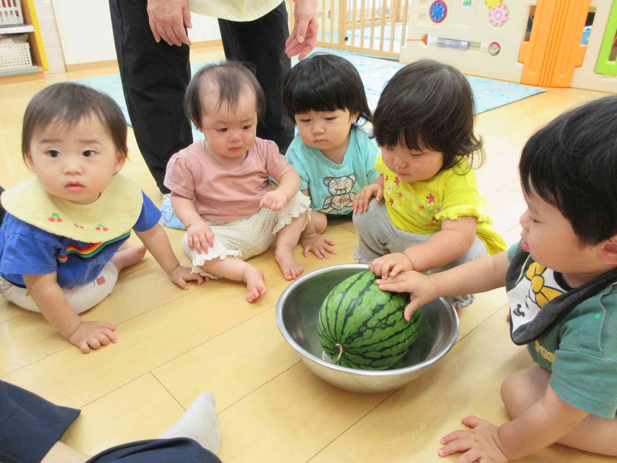 すいかをさわってみたよ！