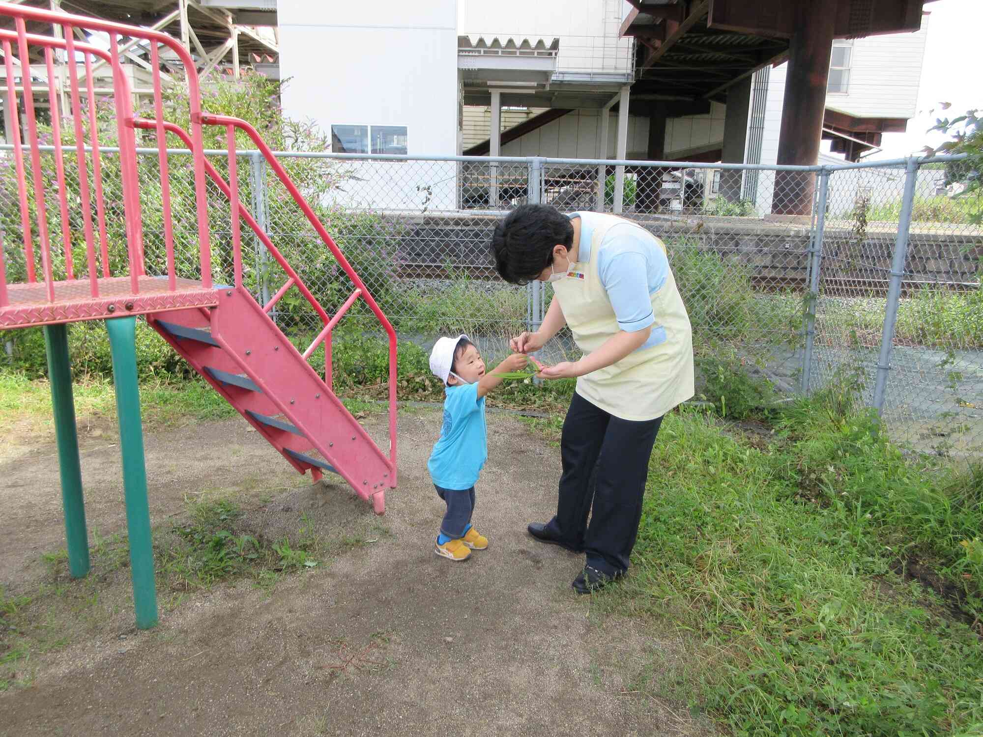 「はいどうぞ」きれいなはっぱをプレゼント