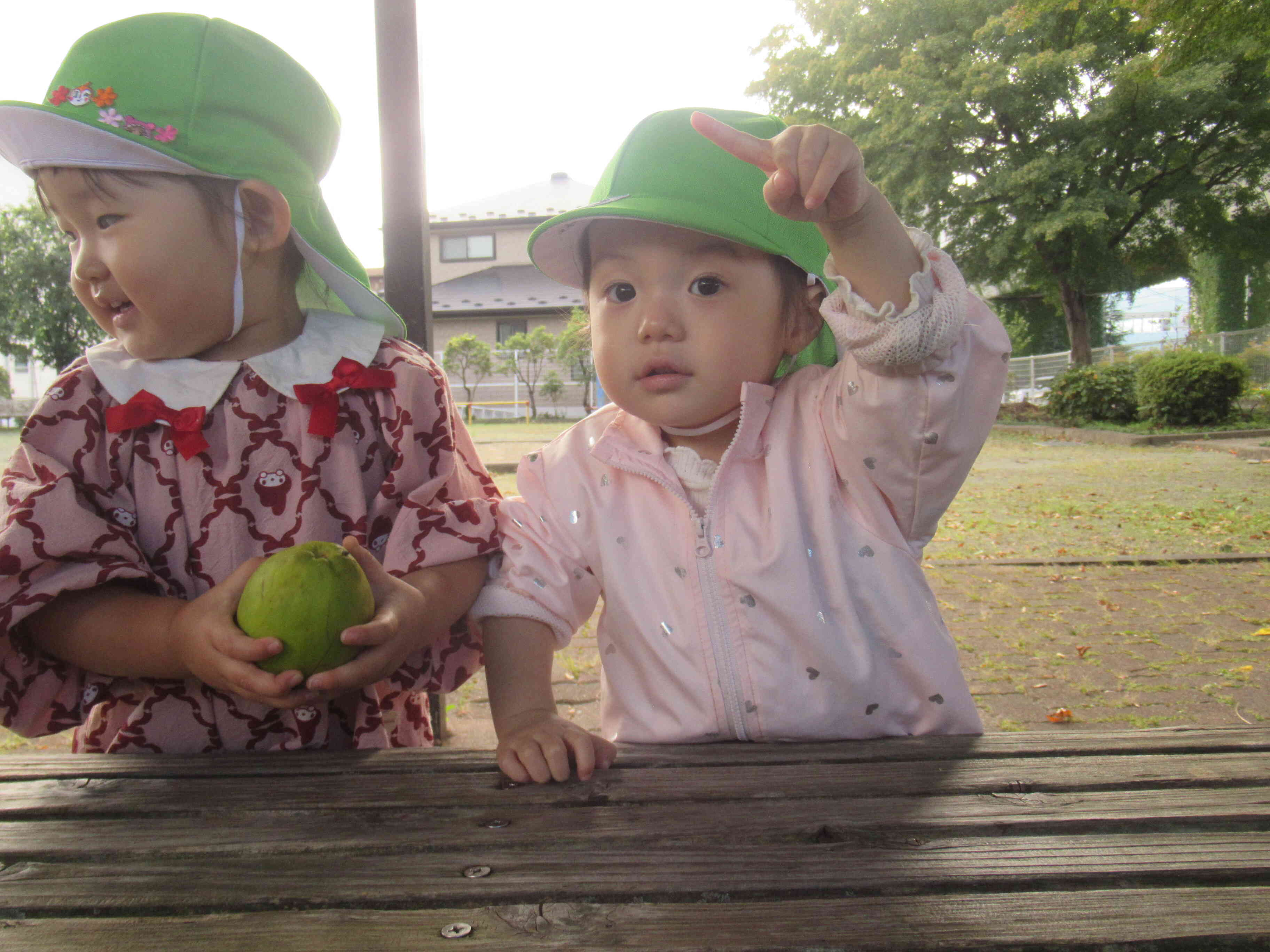 あひるぐみ1歳児　秋のお散歩