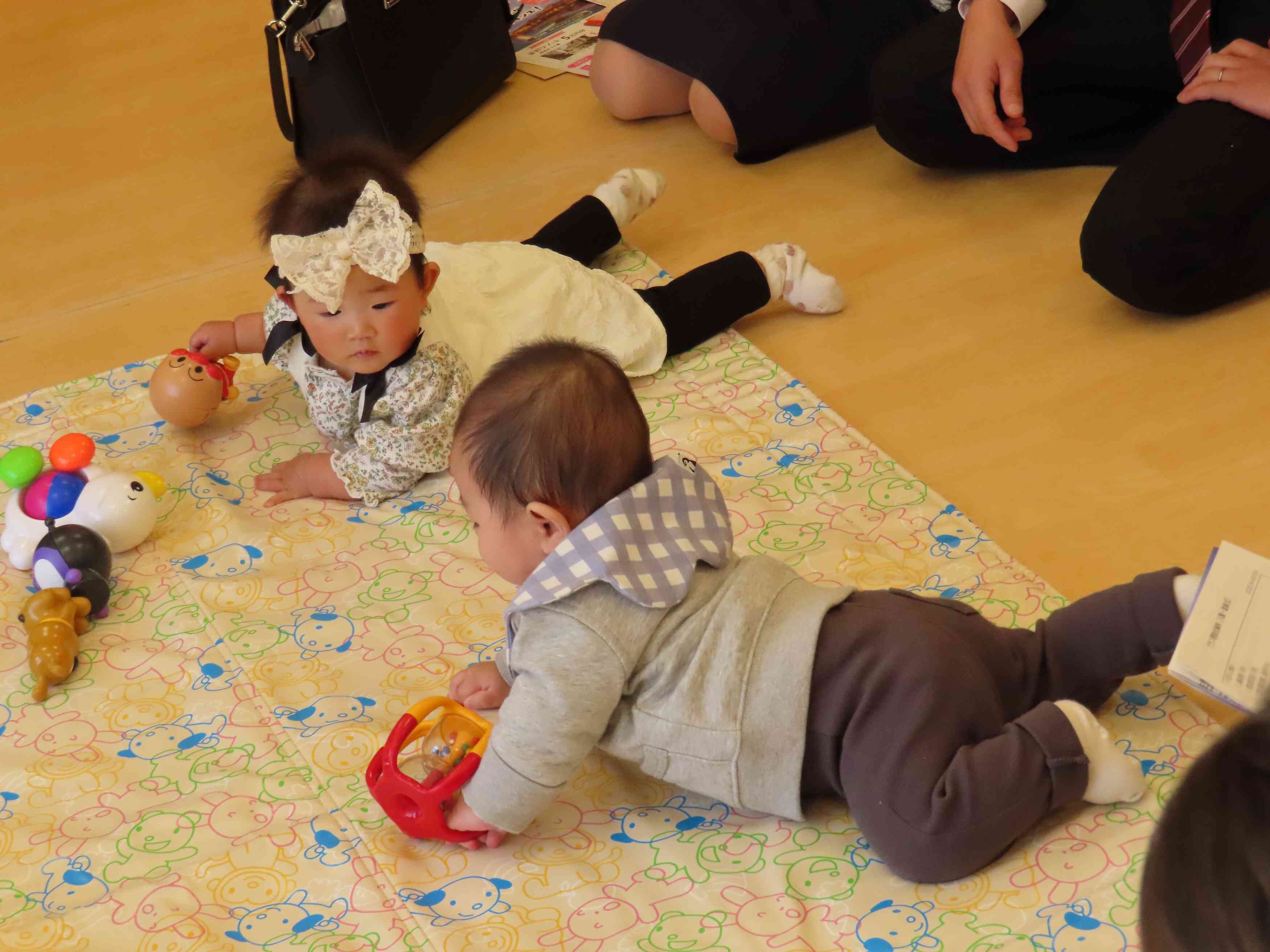 はじめましてのひよこさんです