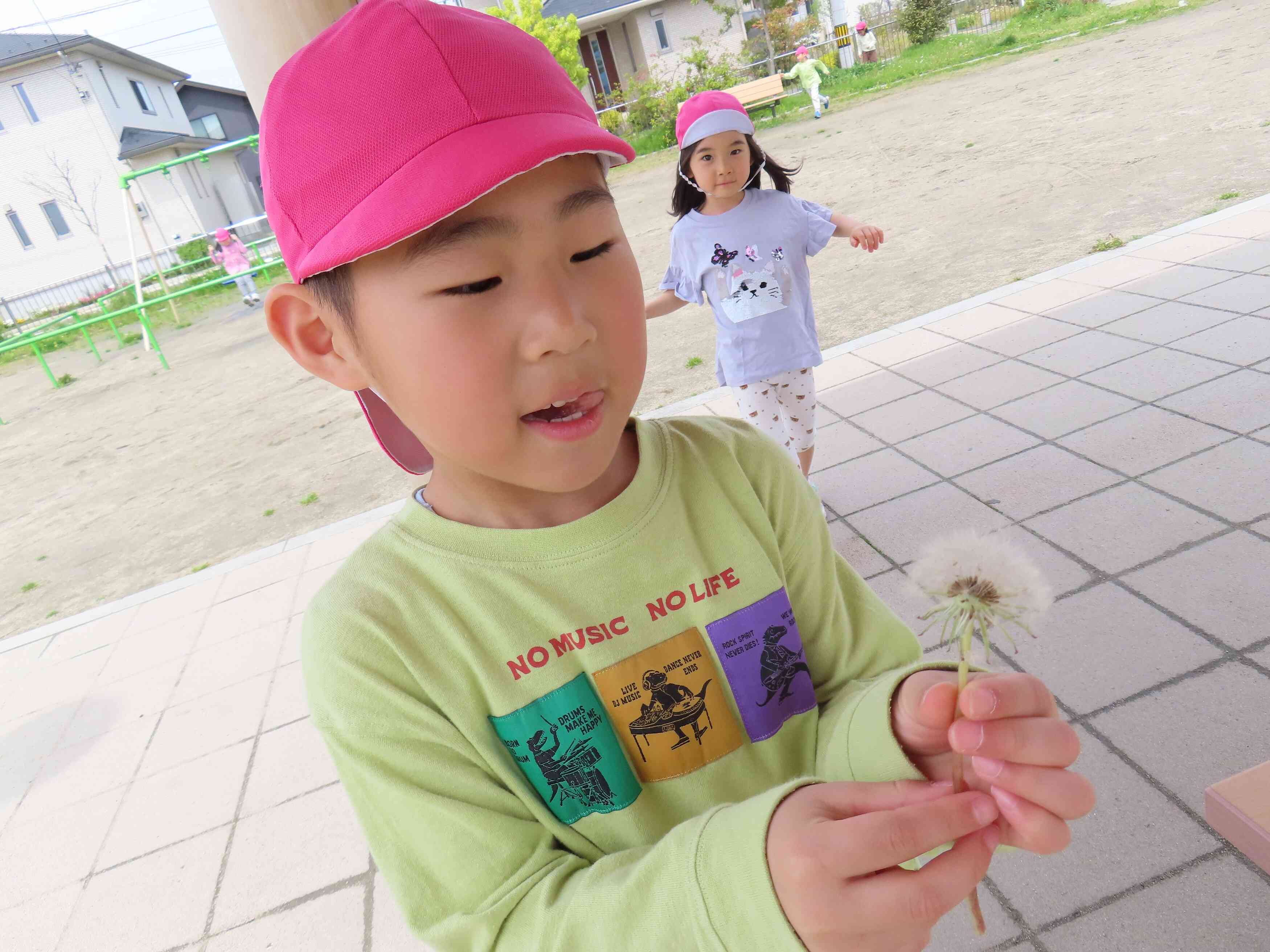 たんぽぽの綿毛…ふわふわでなんだか美味しそう…