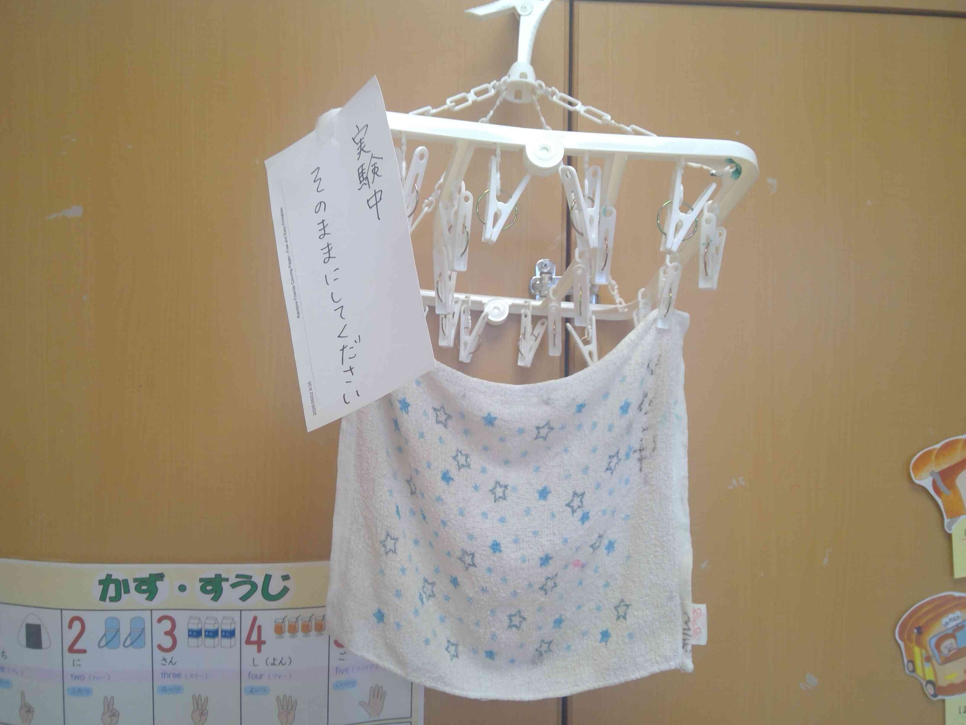 実験だ!