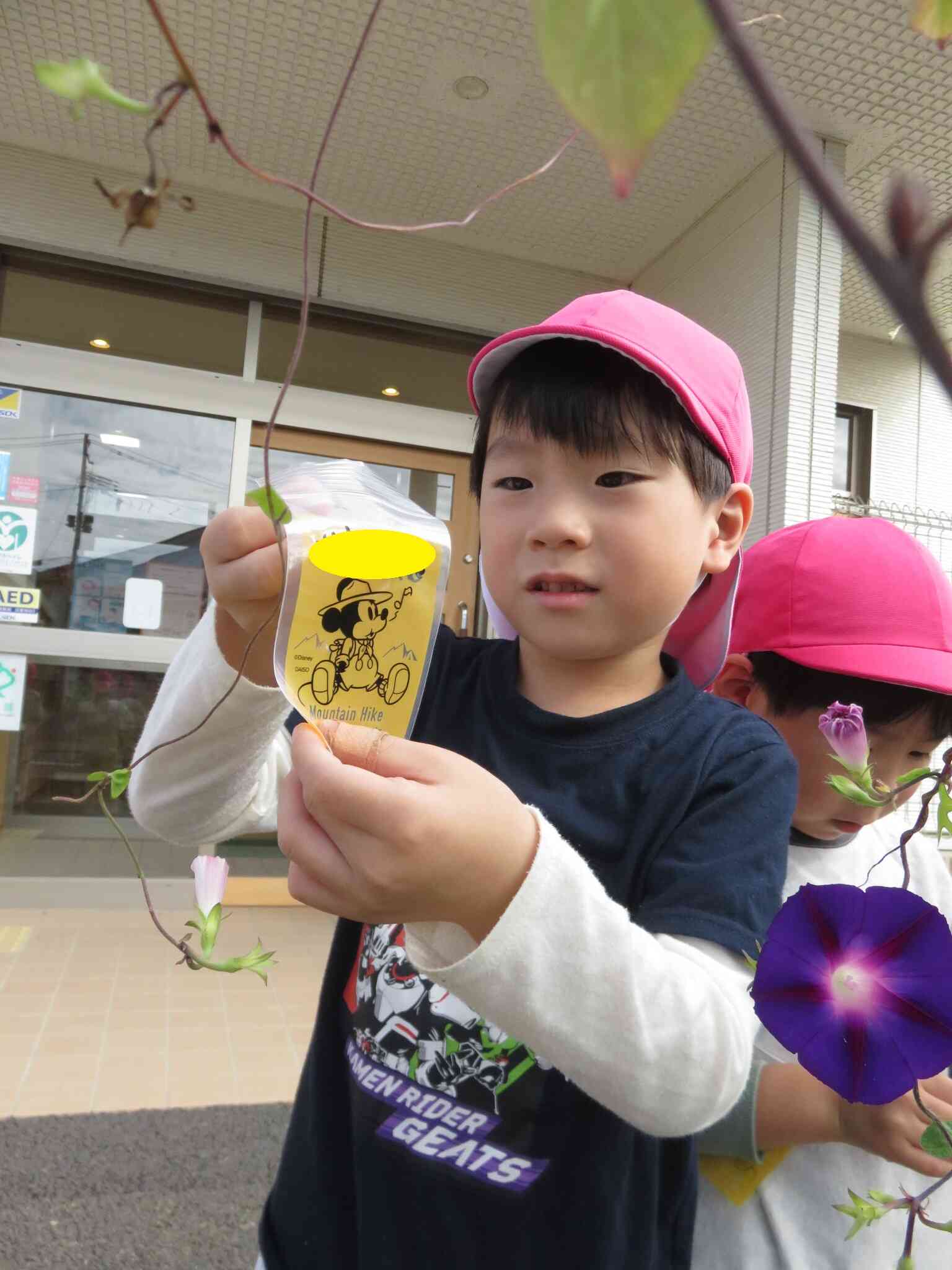 来年が楽しみ♪