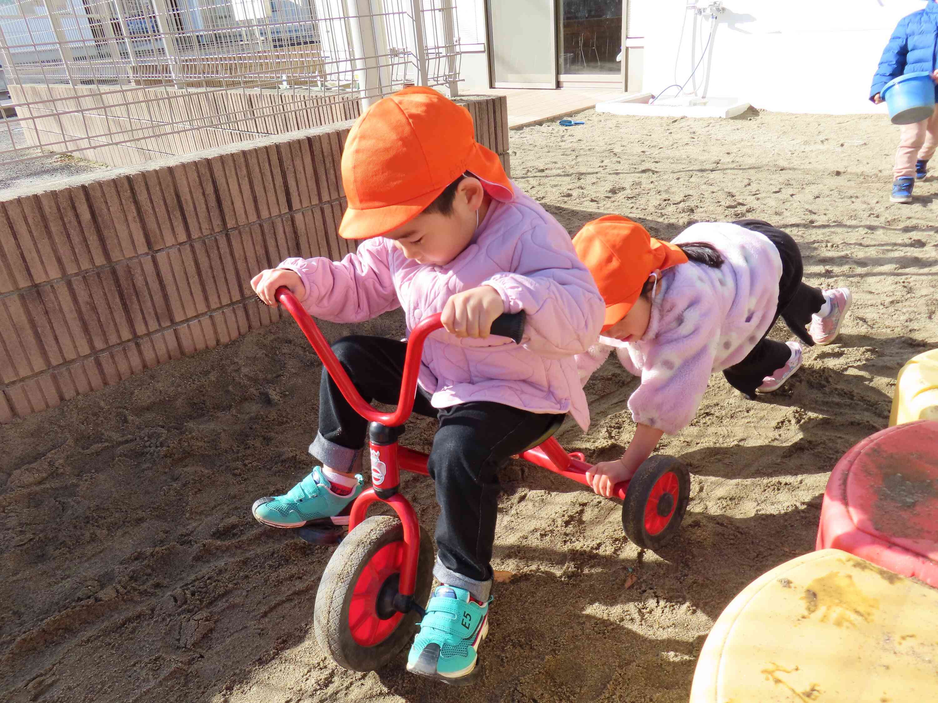 押し合いっこ~!