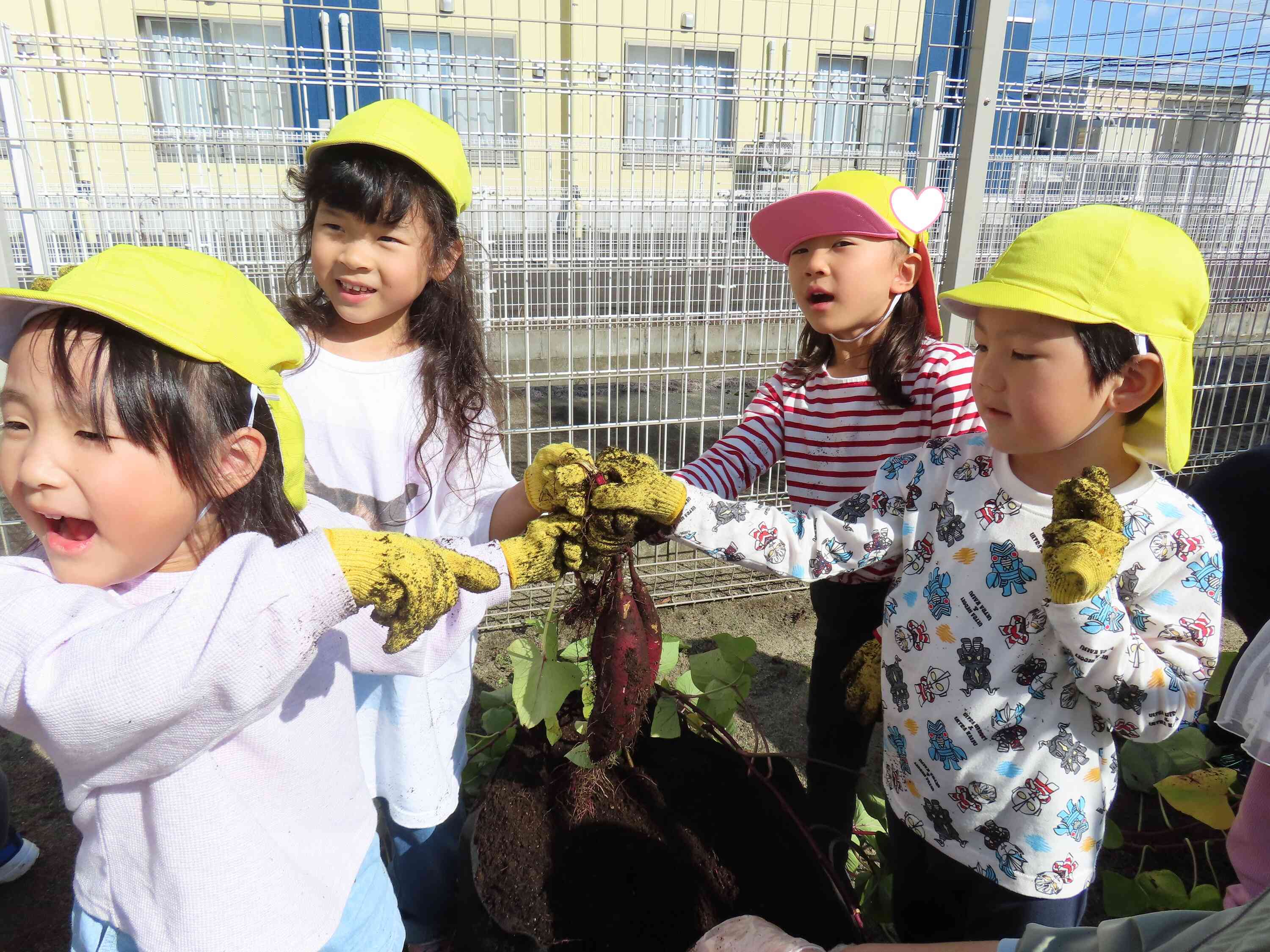 とれました～！