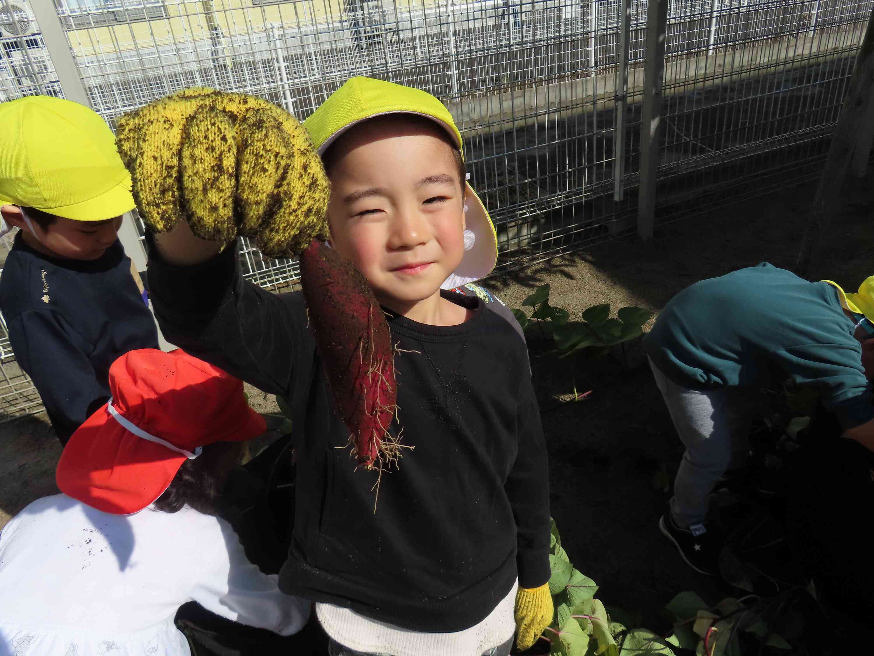 ぼくもとれたよ。