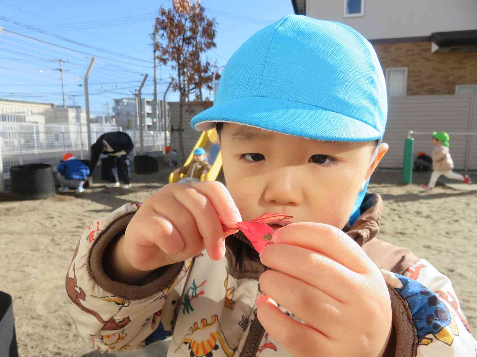 じっくり観察☆