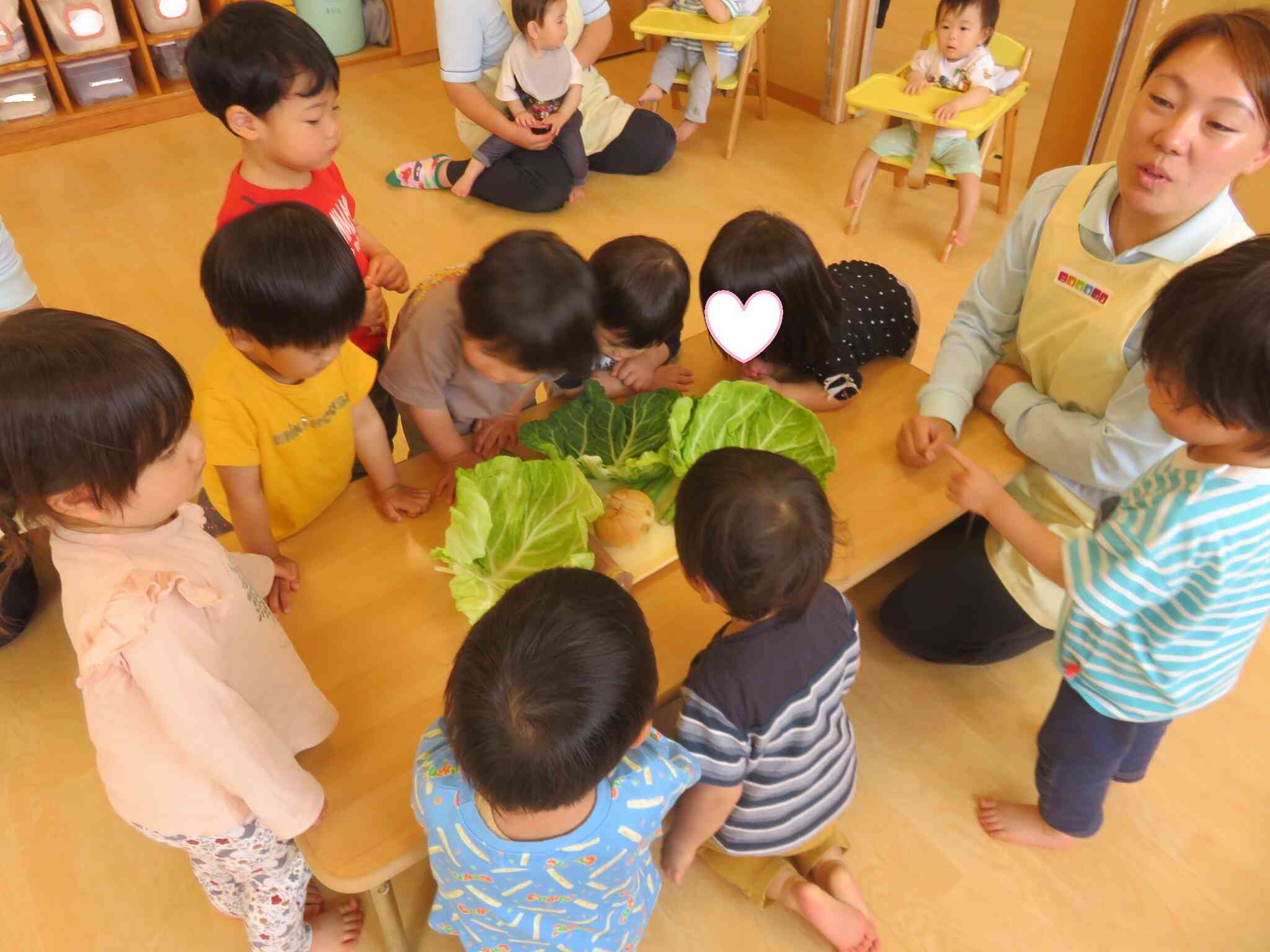 食育活動「春野菜に触れよう」~うさぎぐみ・あひるぐみ・ひよこぐみ(2歳児・1歳児・0歳児クラス)~