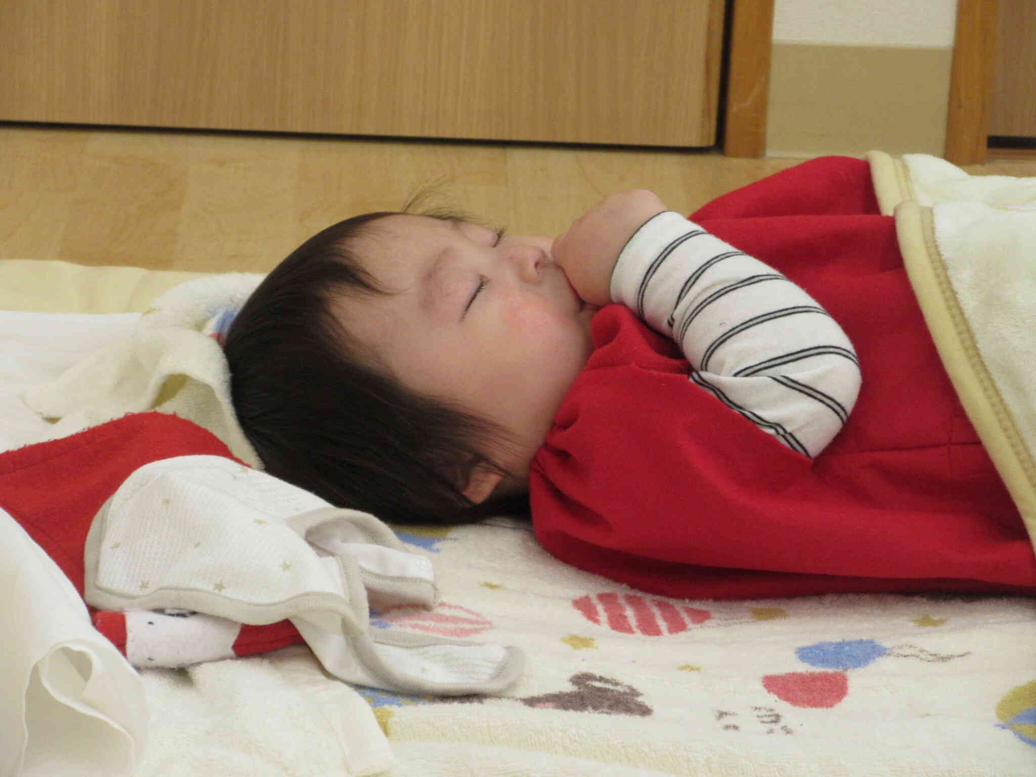 総練習後、疲れて寝てしまったかわいいだるまさんです。