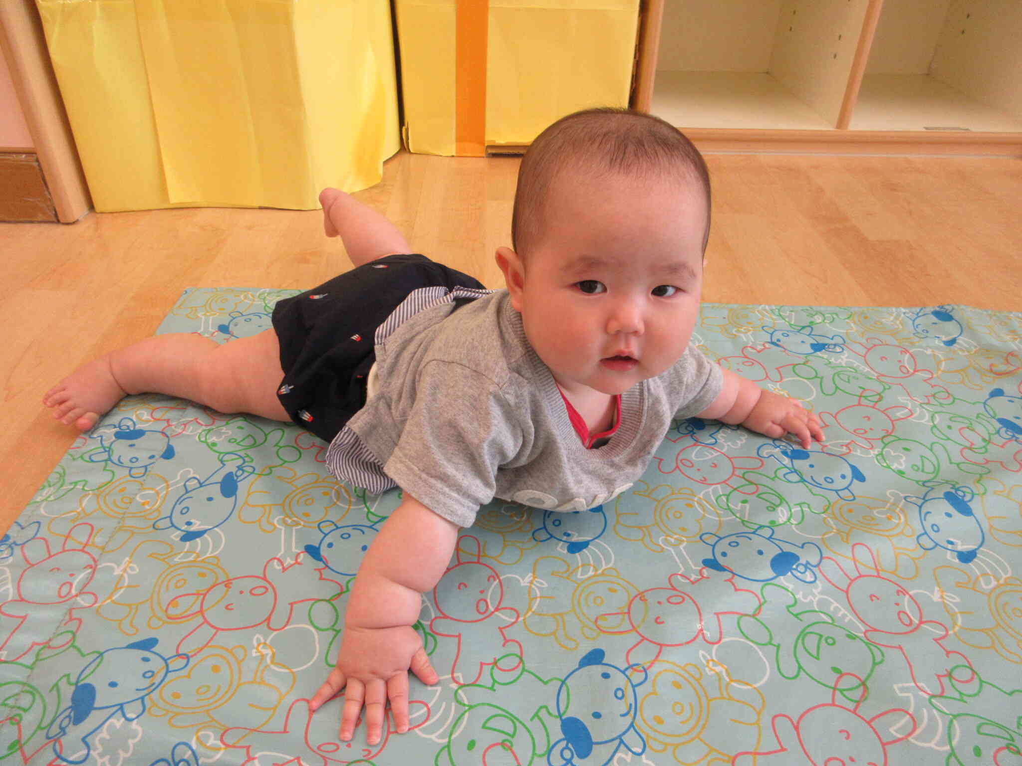 ひよこ組の様子（０歳児）