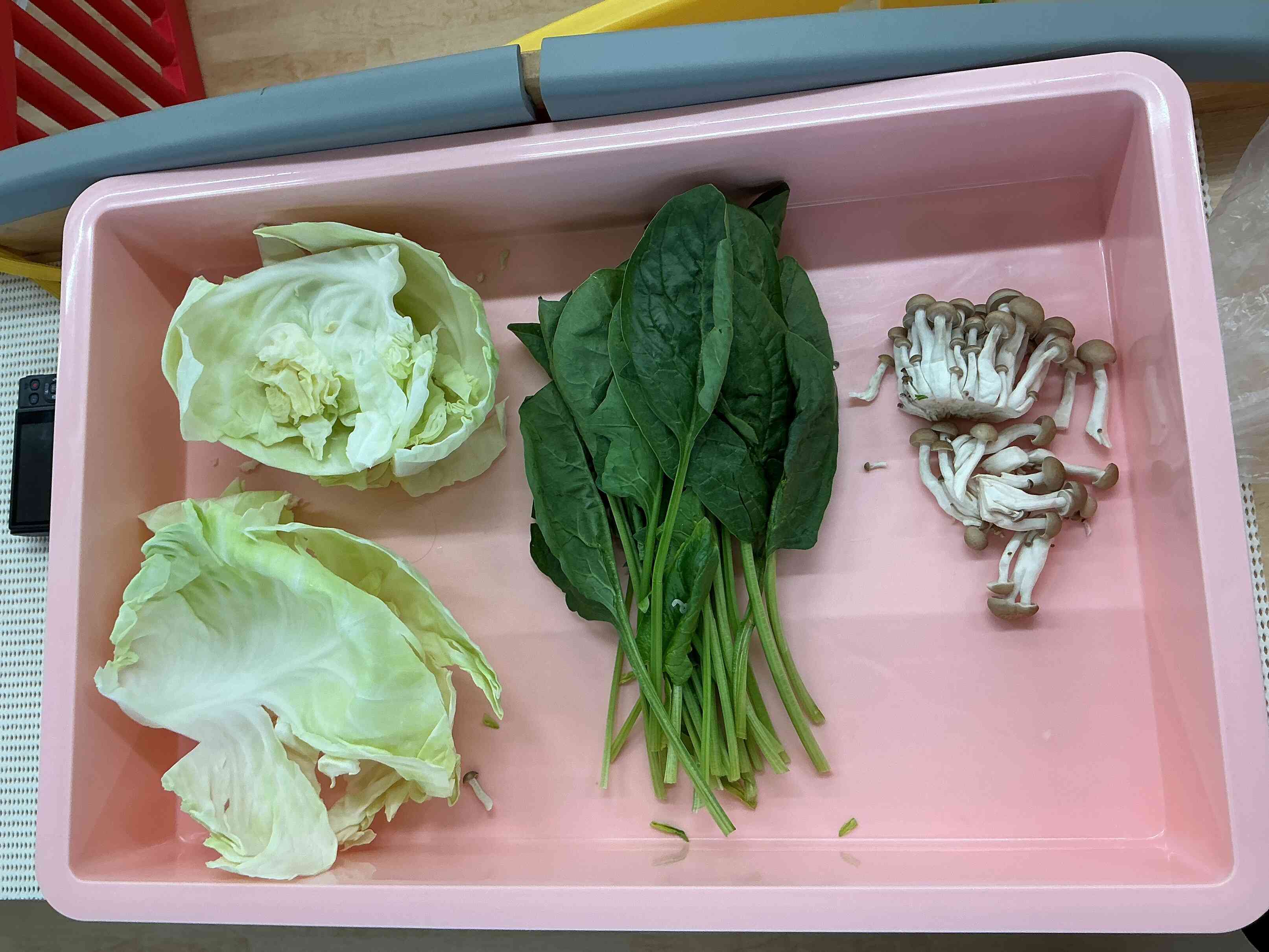 6月の食育活動