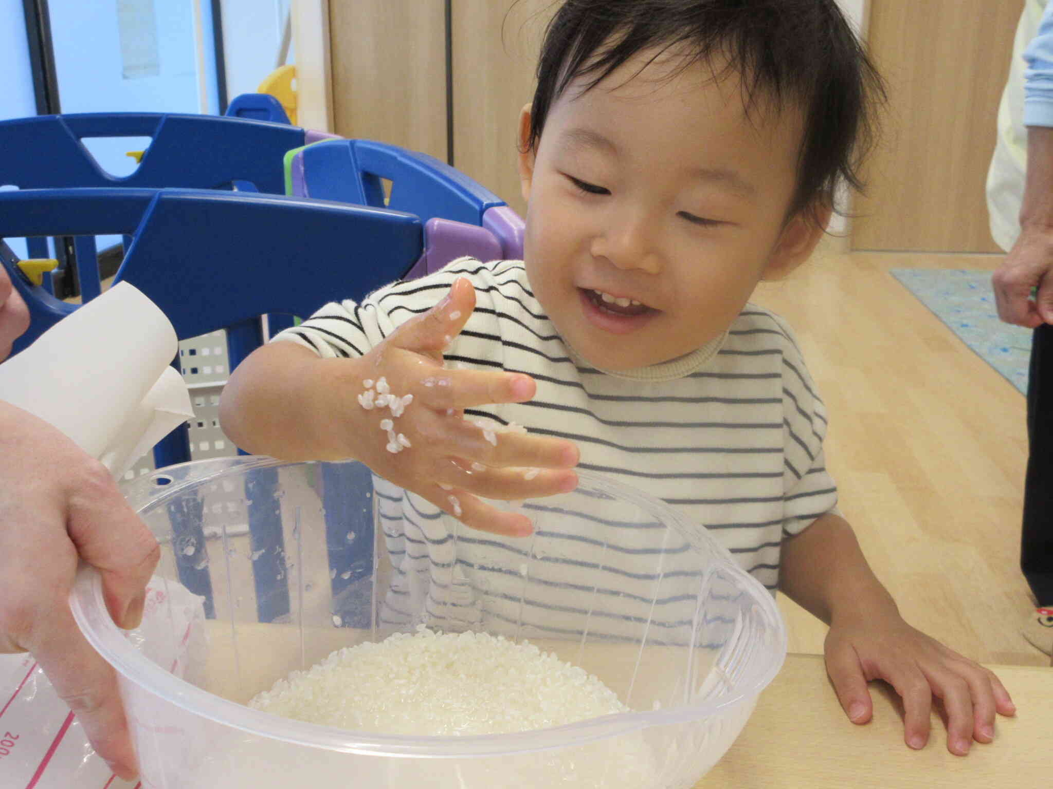 食育「米とぎ・おにぎり作り」