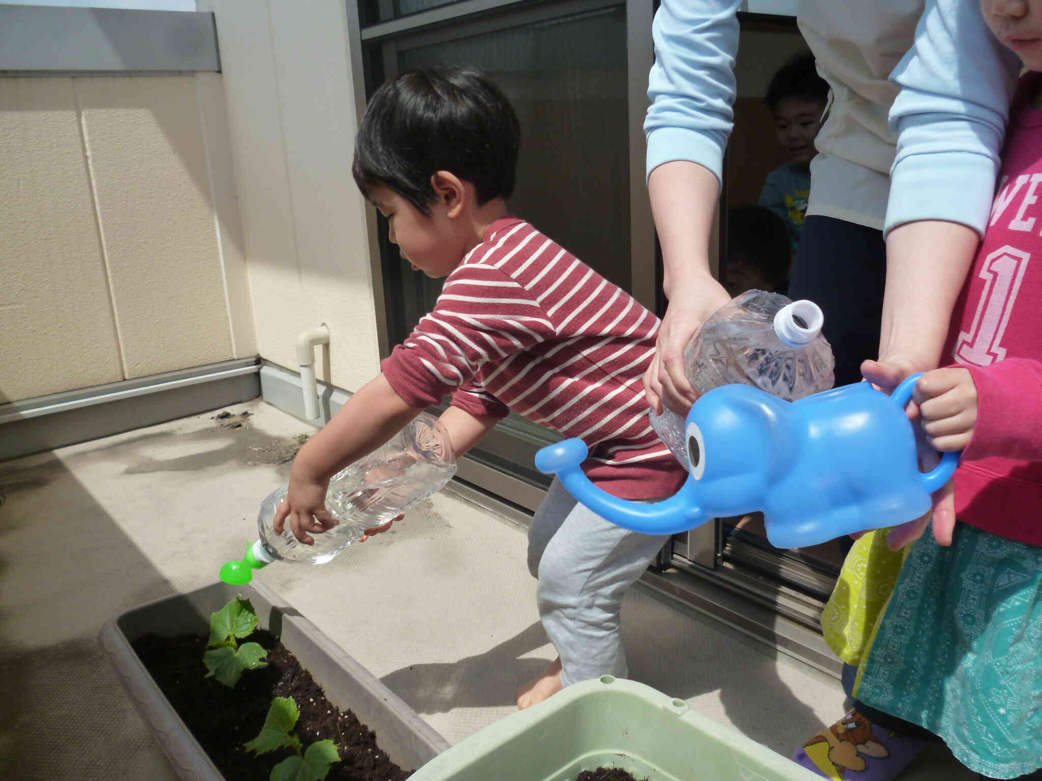 お水をあげよう♪