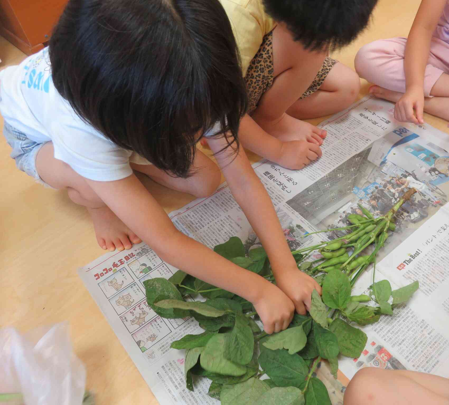 食育活動・ずんだ作り～5歳児・きりん組～