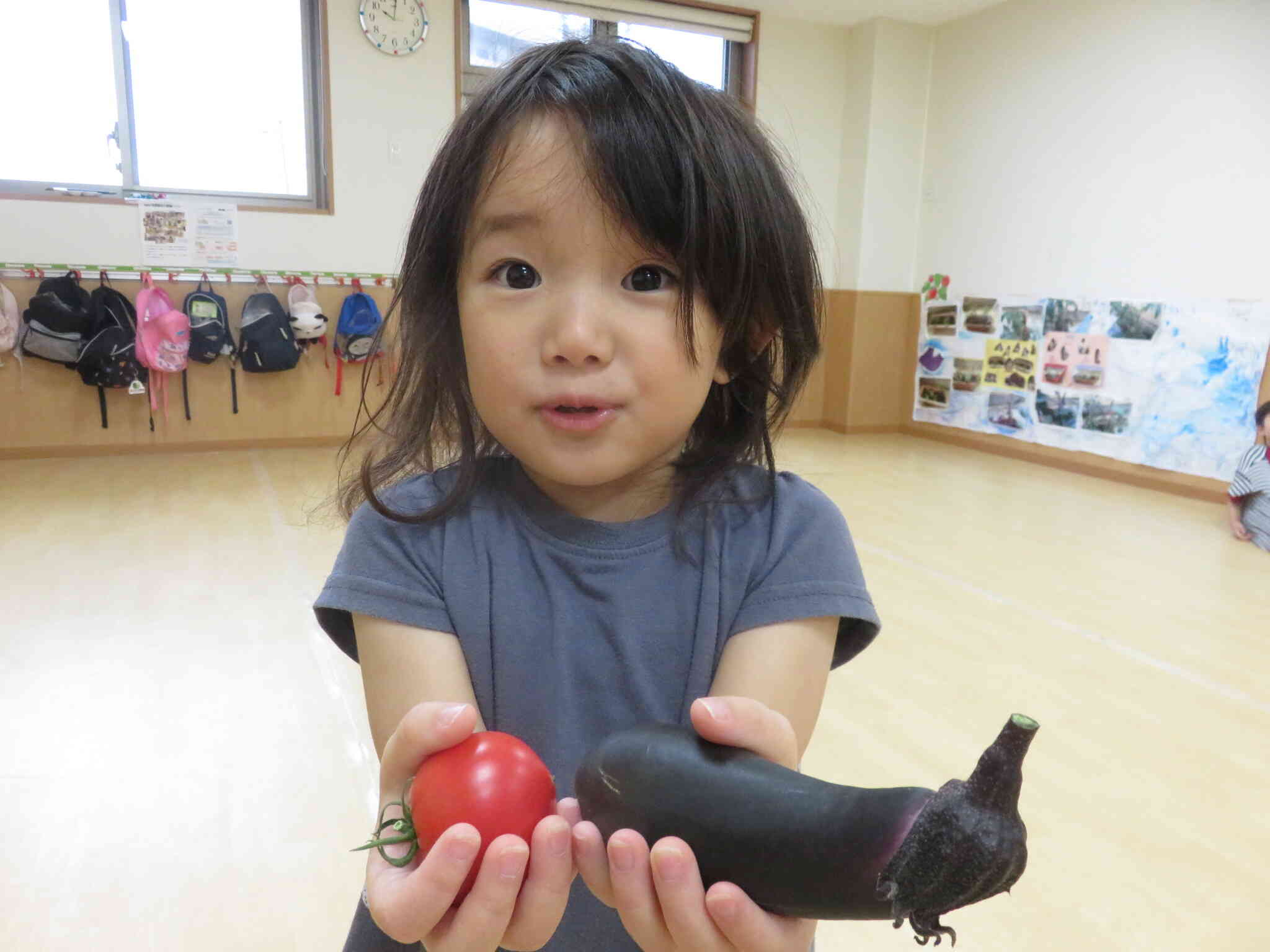 トマトとナスを収穫しました。