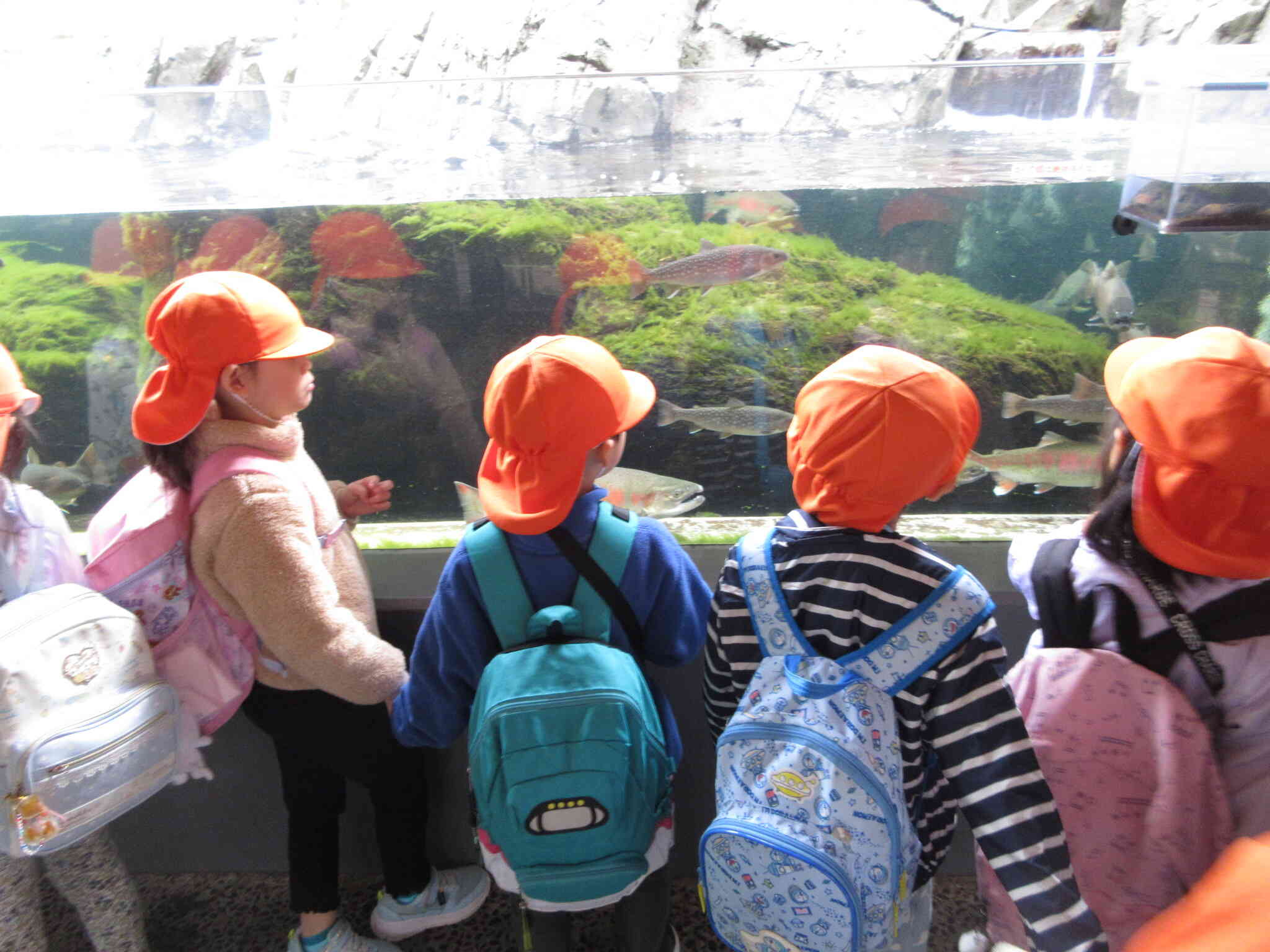水族館にさようなら。またみんなで来れたらいいな。