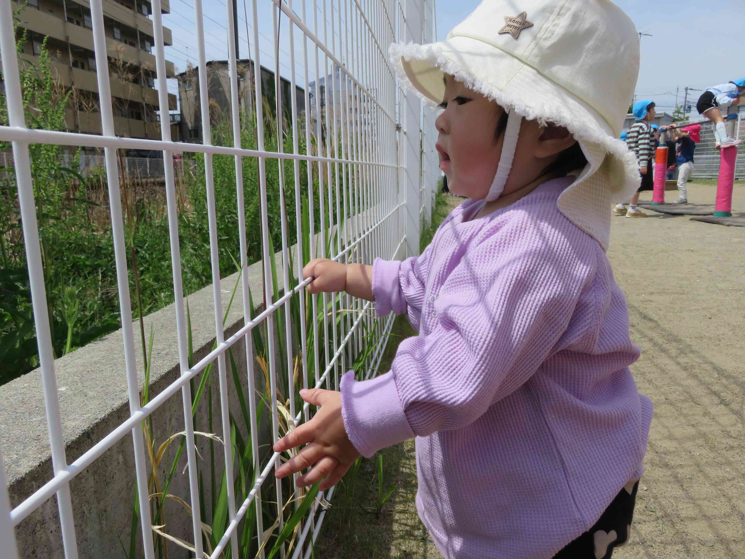 0歳児・ひよこ組の活動