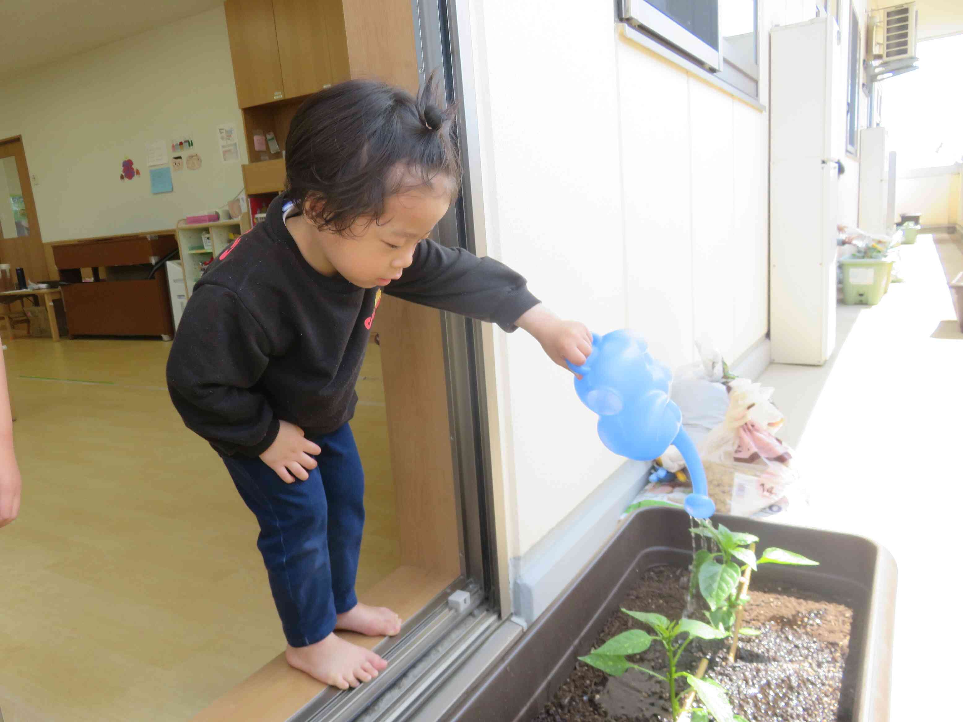 4歳児・ぱんだ組の活動