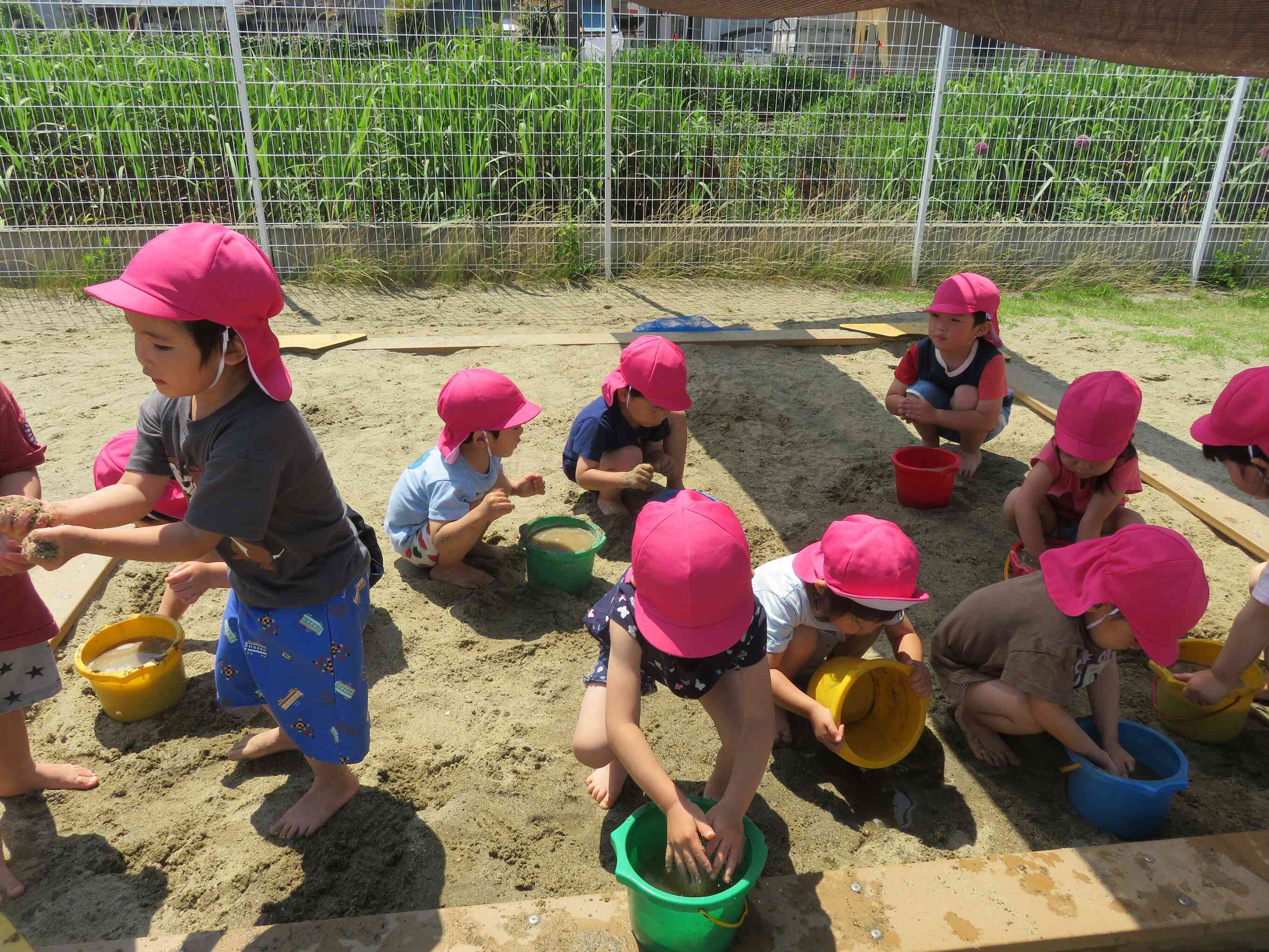 ３歳児・りす組の活動