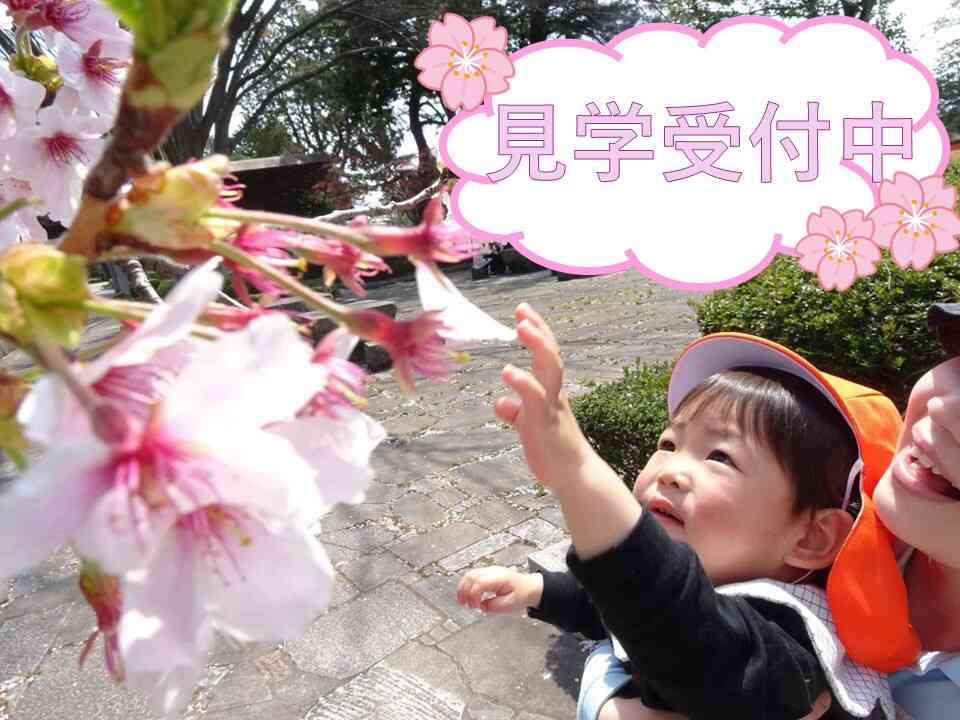 入園の有無に関わらず見学を受付ています。保育園ってどんなところ？ちょこっと覗いてみませんか♪
