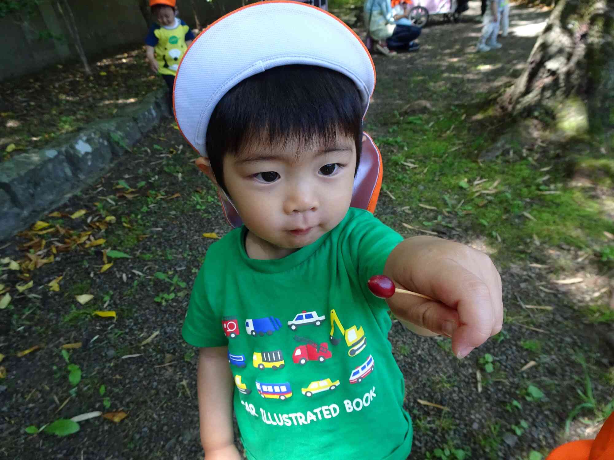 木陰で遊ぼう