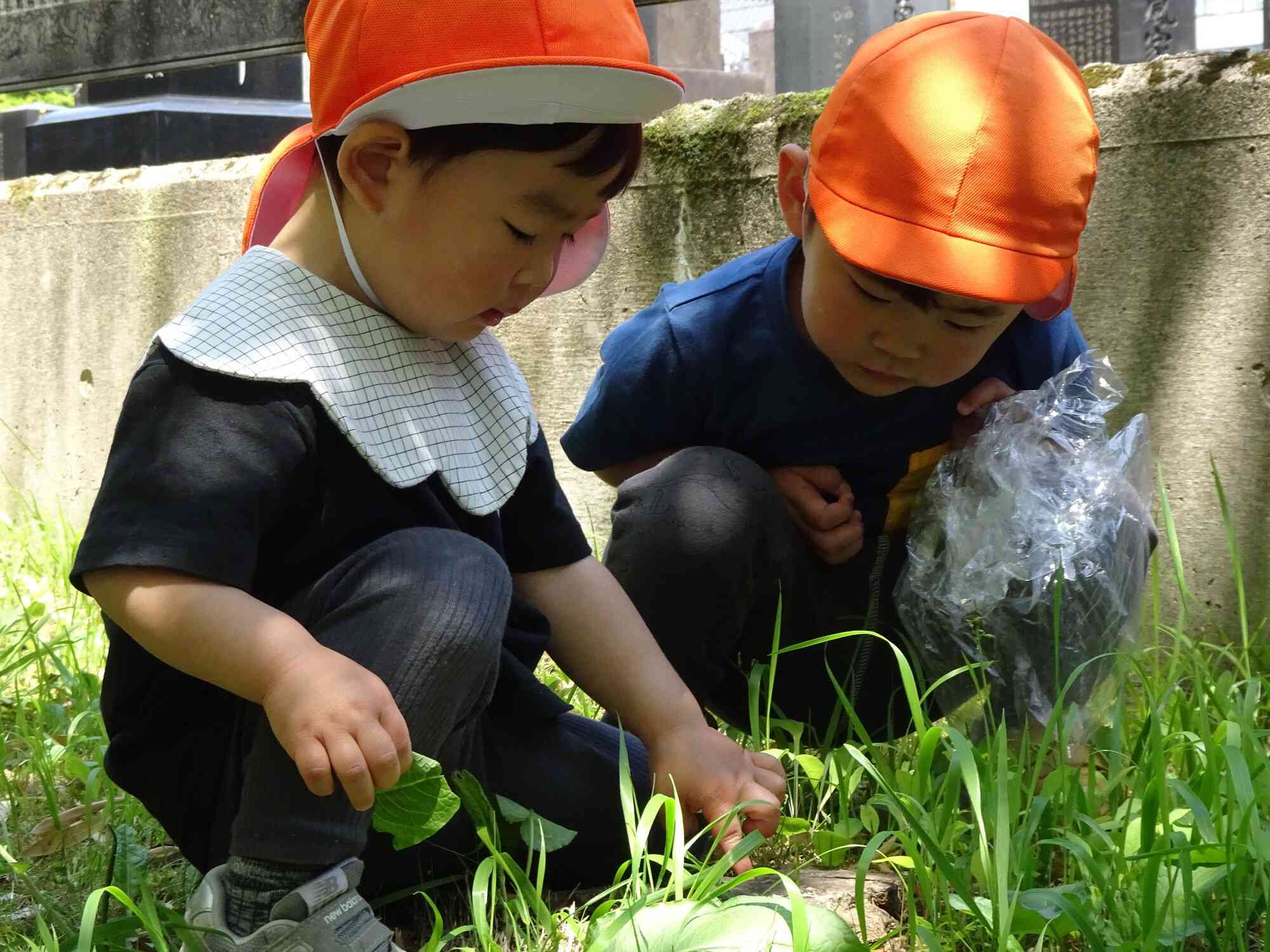 葉っぱや木の実を探して真剣な表情です