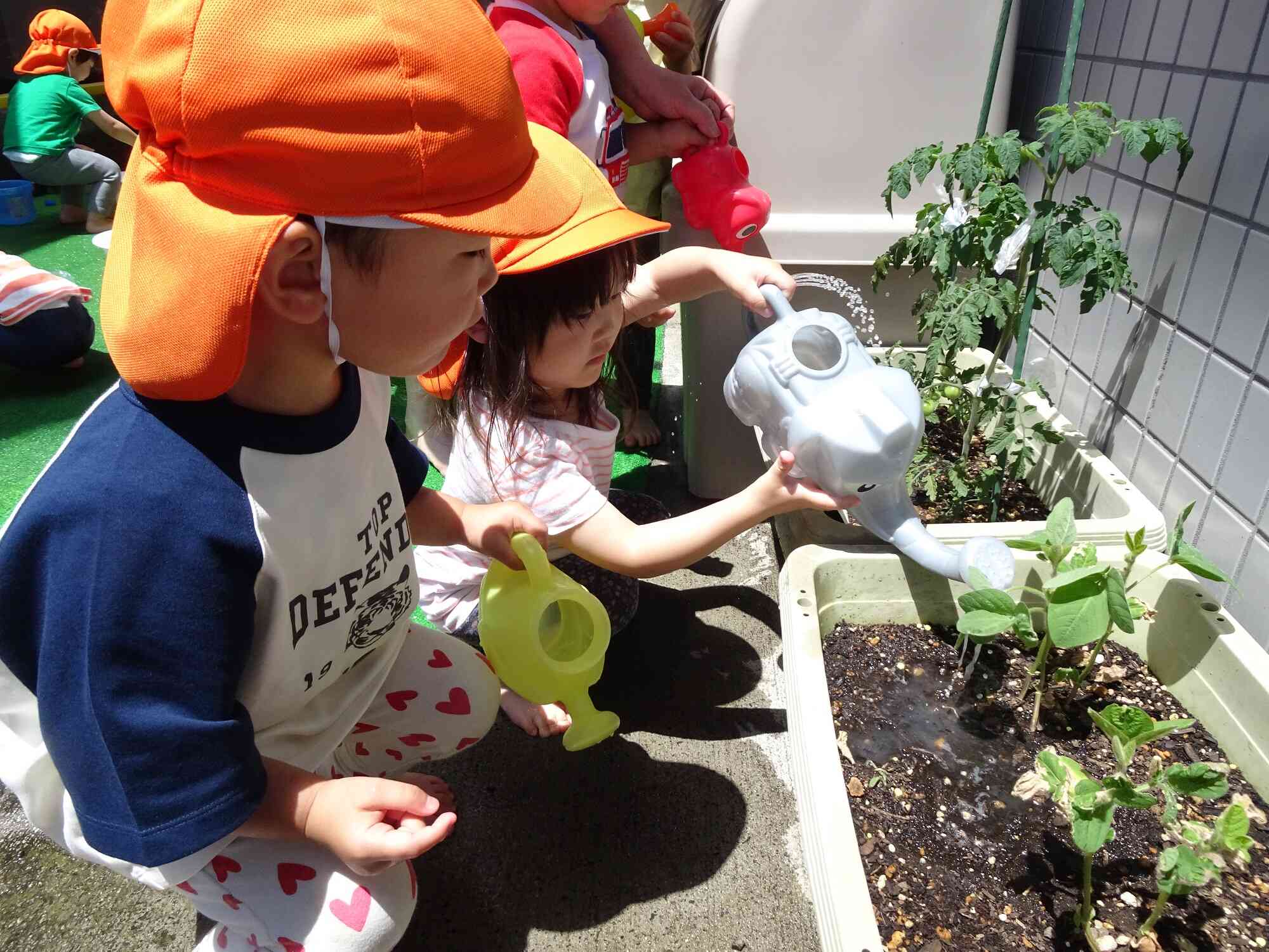 野菜さんも一緒に