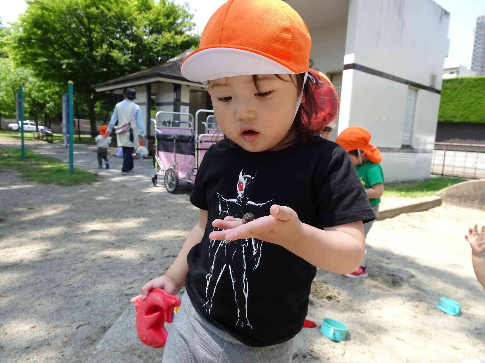 お宝発見