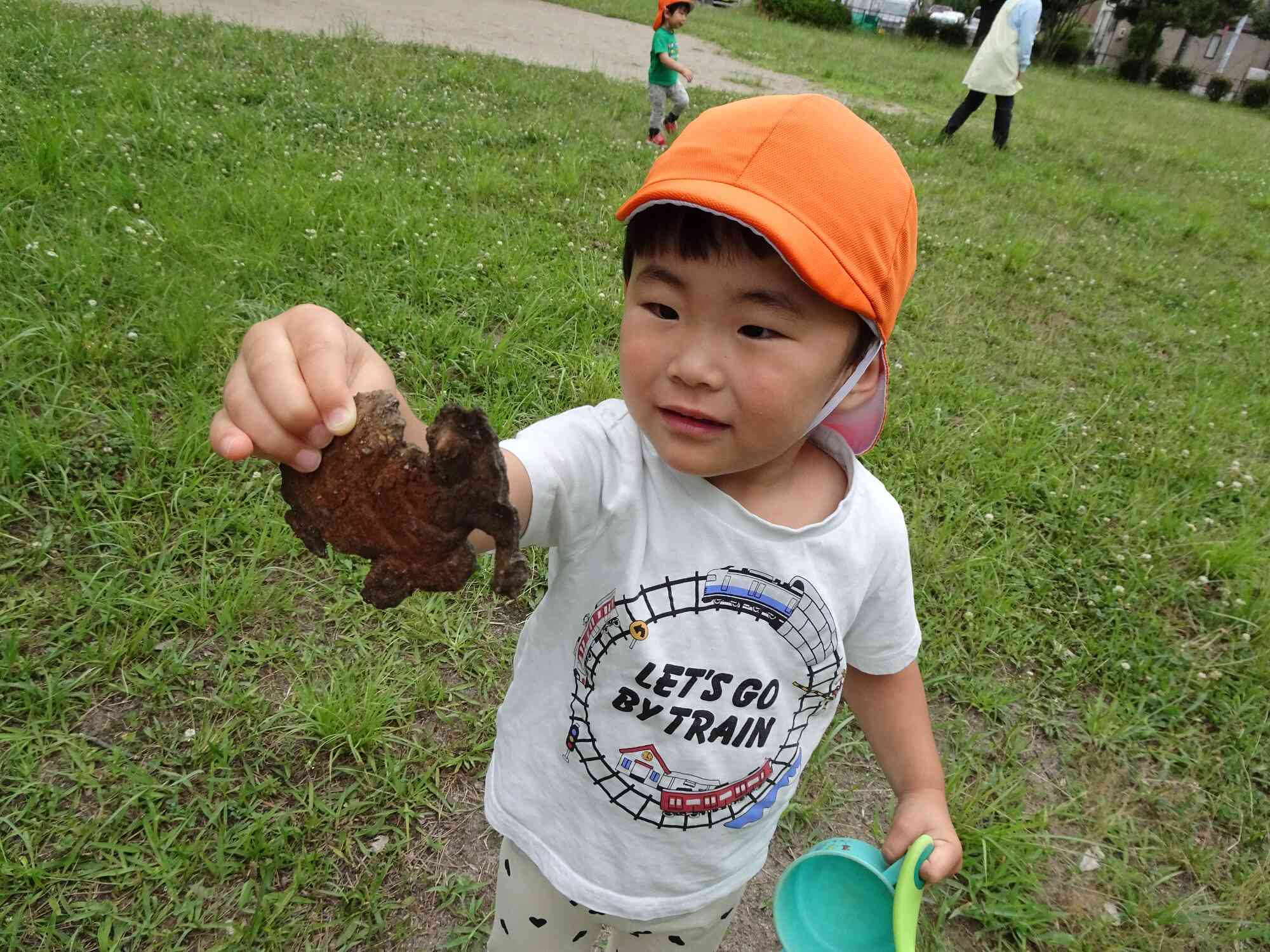 大きな木の皮！