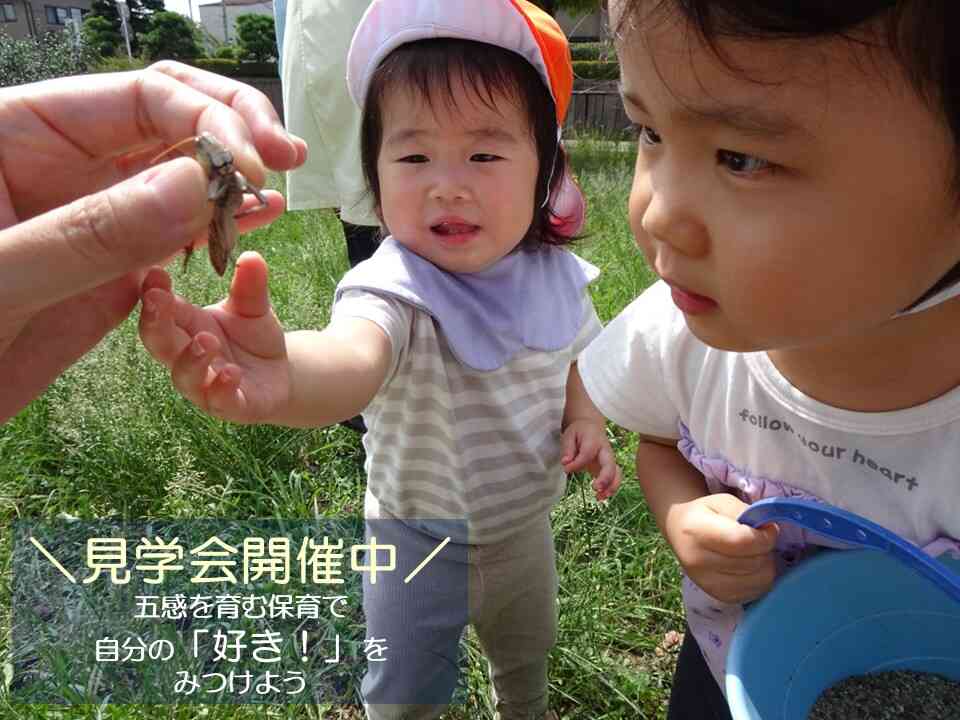 子ども達の興味関心を引き出す保育をしています♪