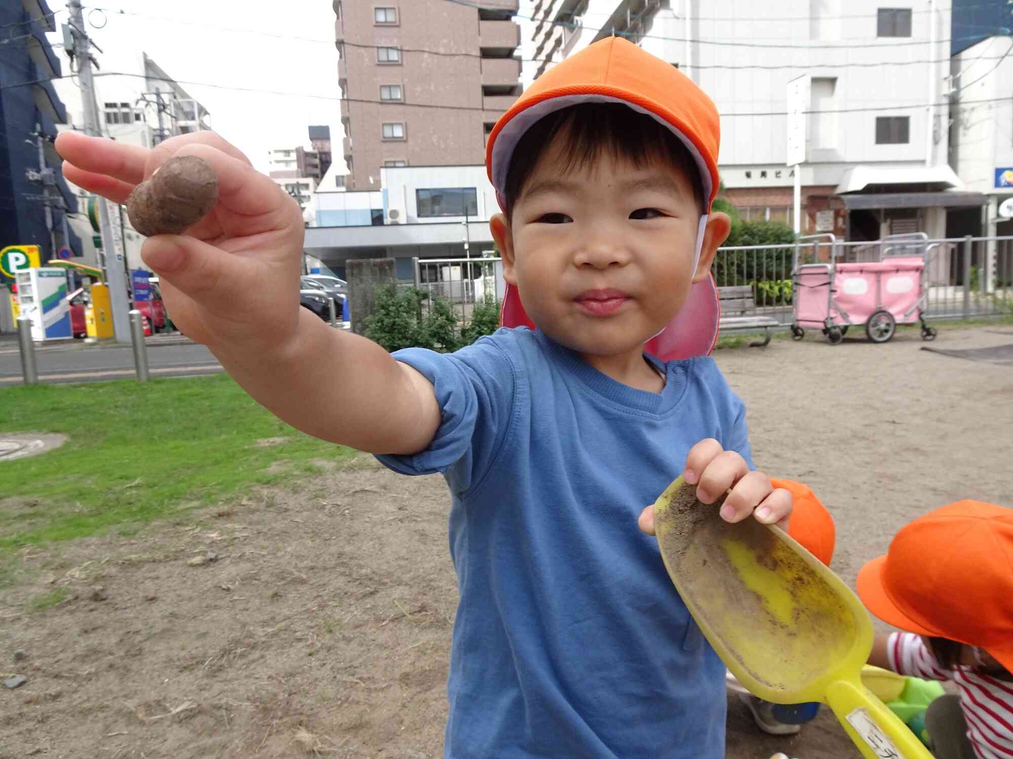 砂の中から木の実を発見