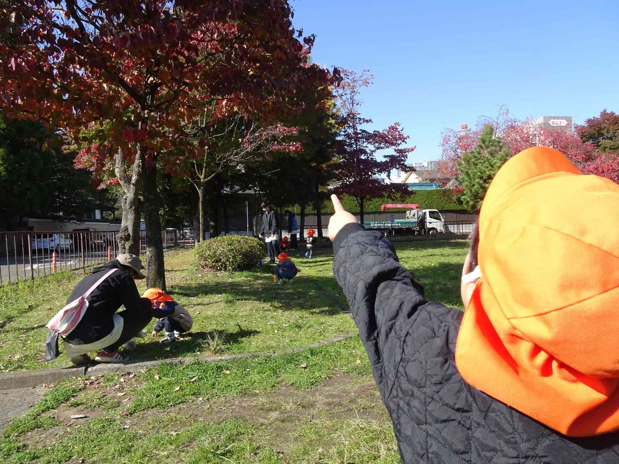 実を付けていたのはあの木だ！と発見