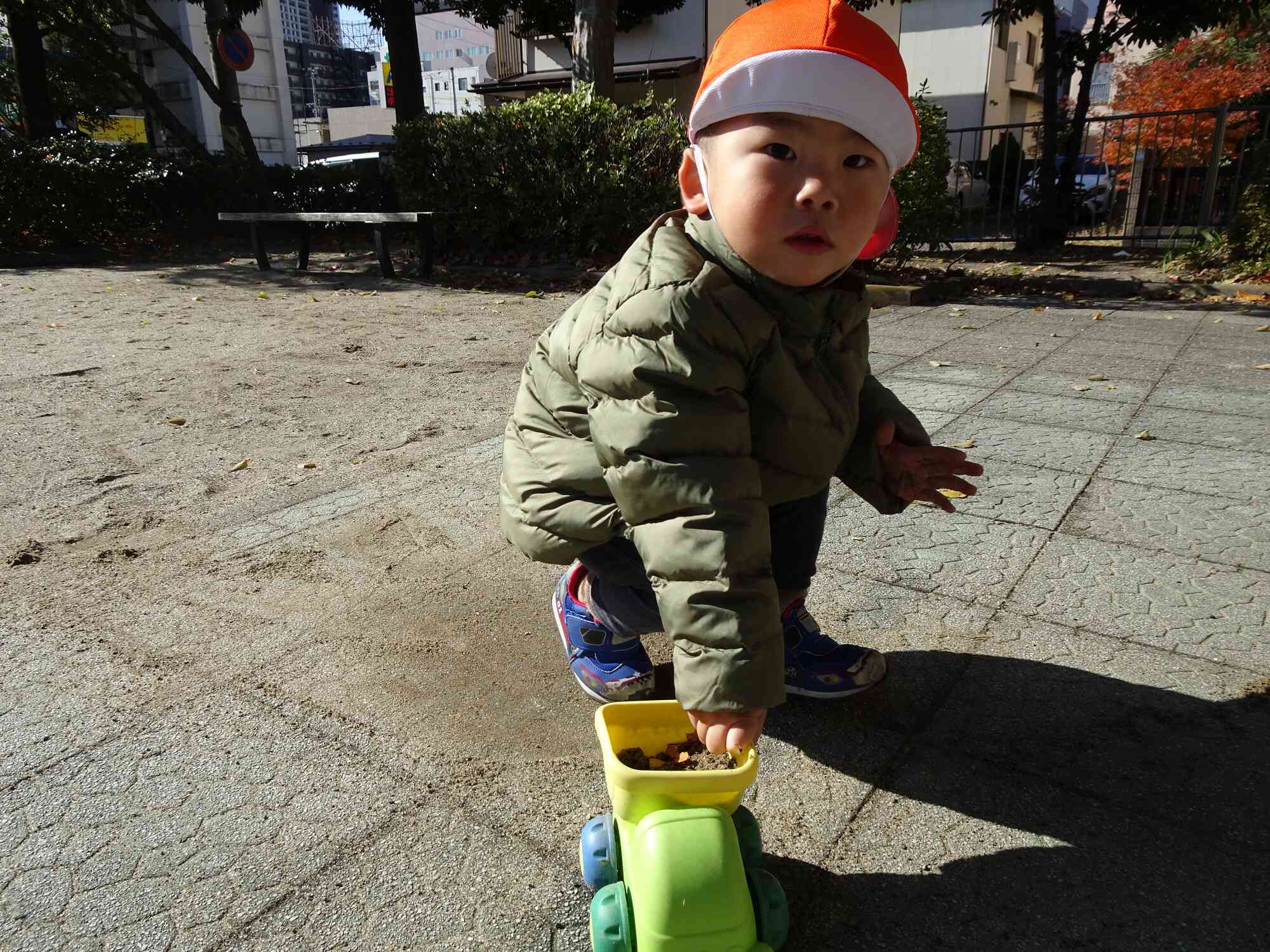 落ち葉を運びます