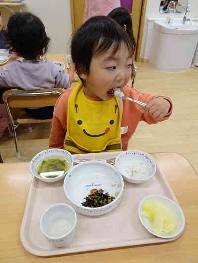 おさかなごはん最高！