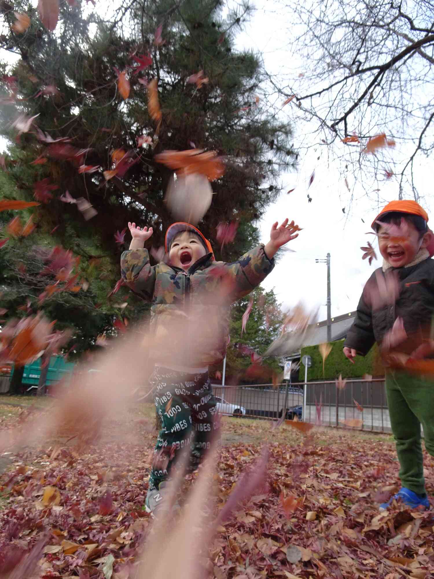 落ち葉遊びは外せない！