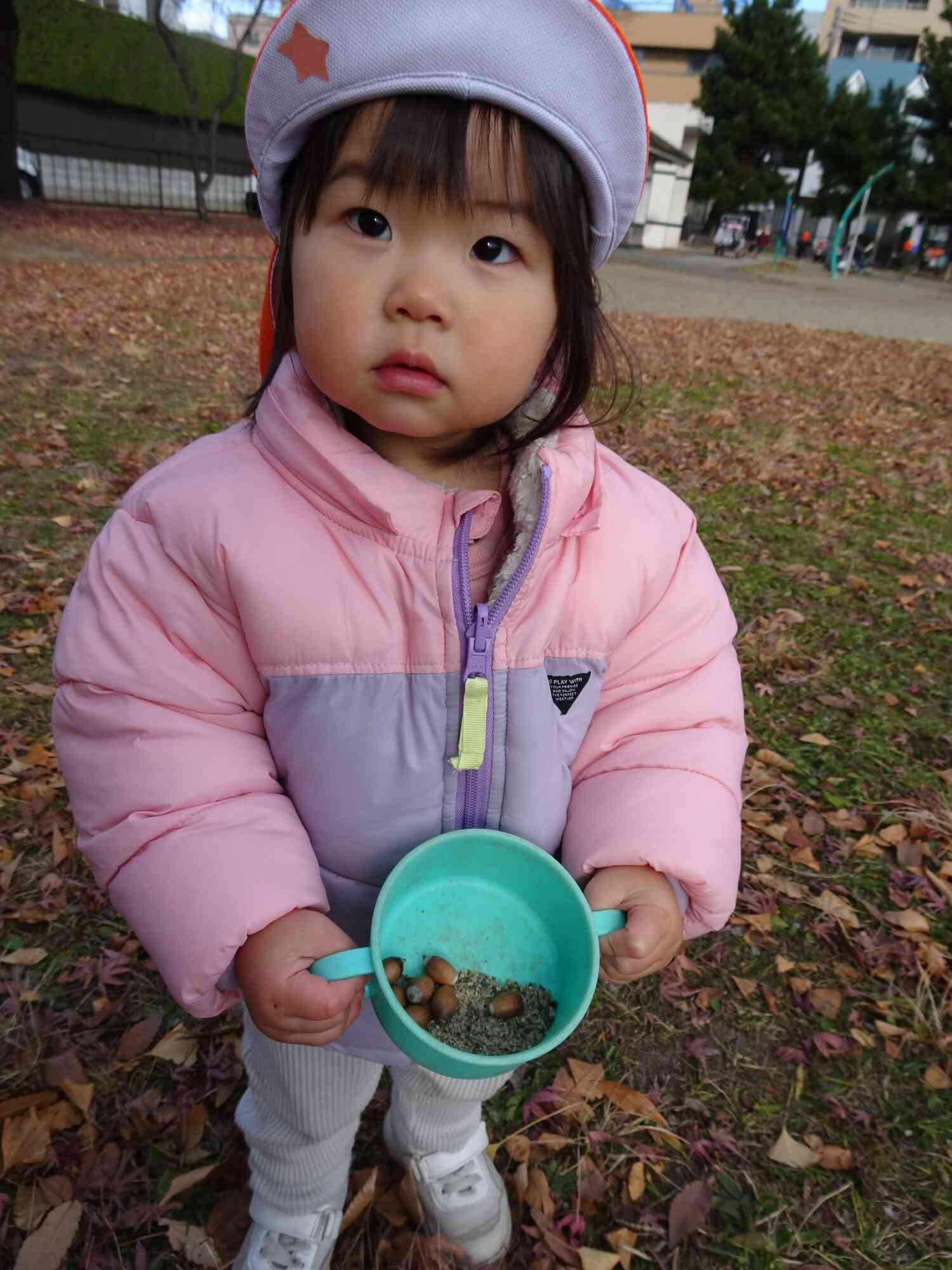 どんぐりをいっぱい見つけたよ