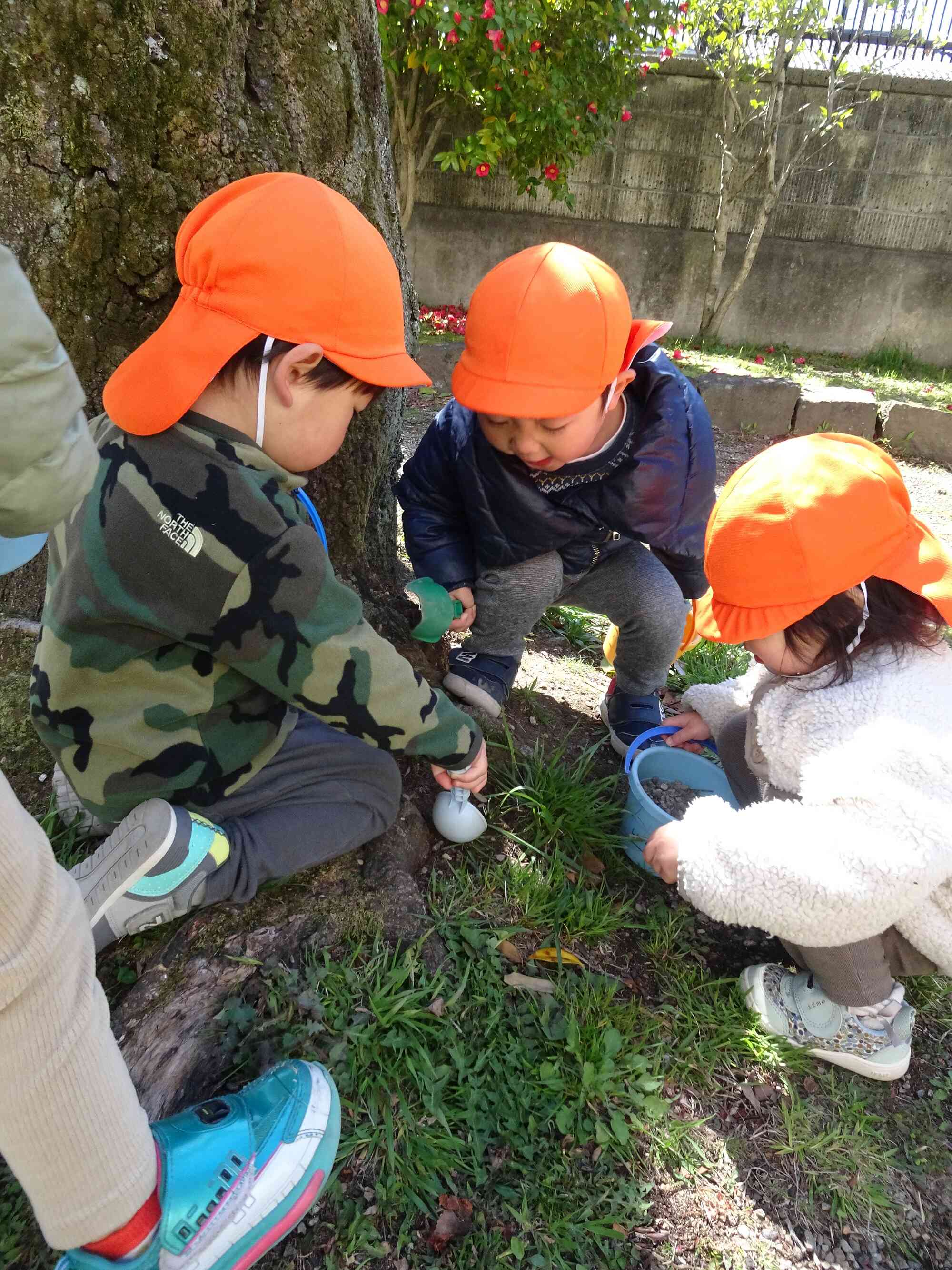 なぞの穴、発見！！