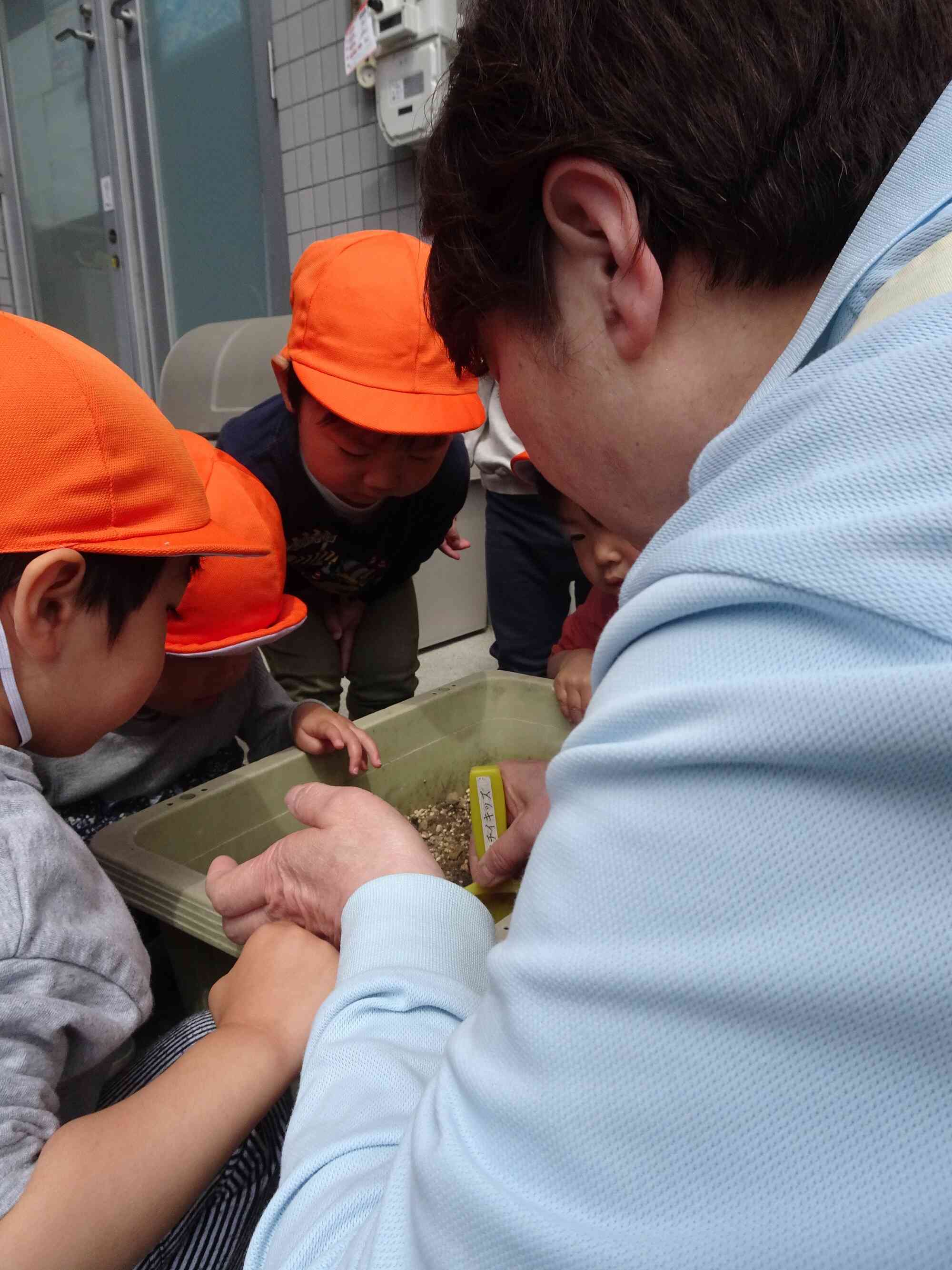 元気に育ってね♪