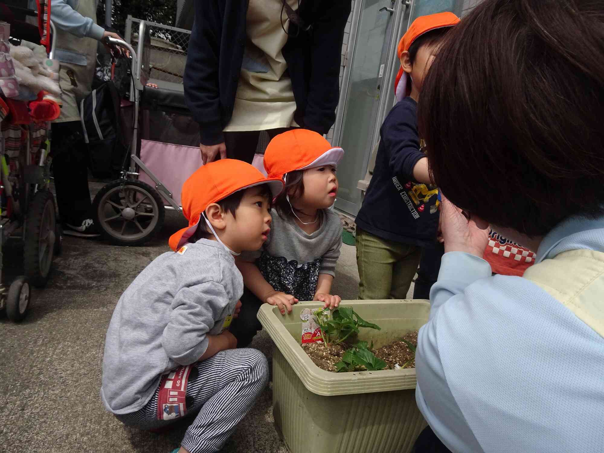 そーっと、そーっと