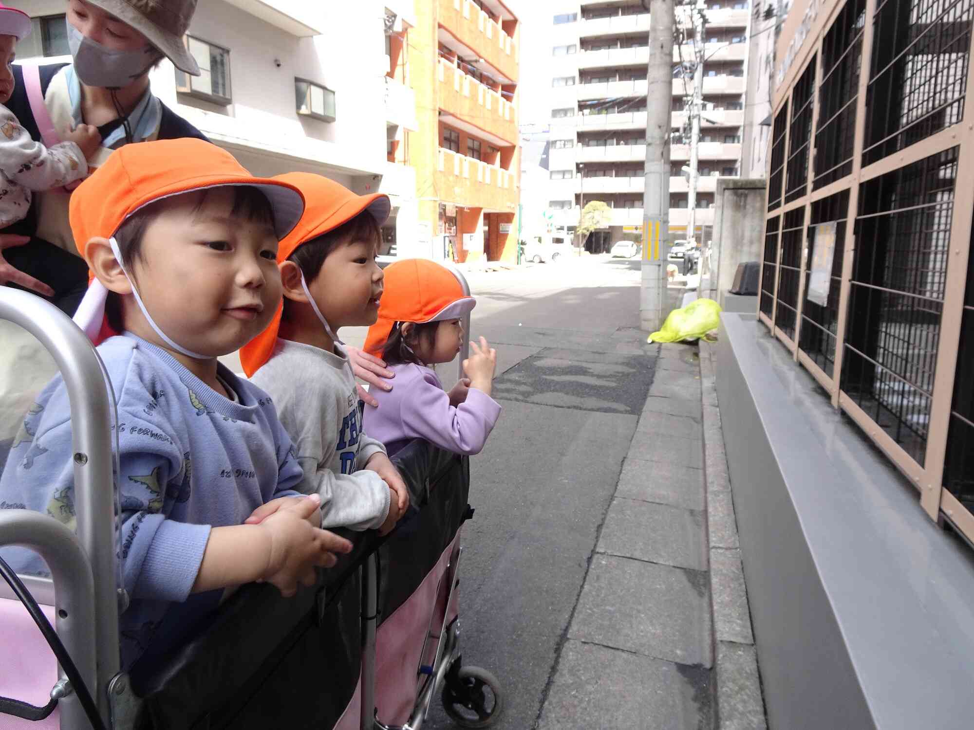 ドキドキワクワク♪動物さんに会いに行きました