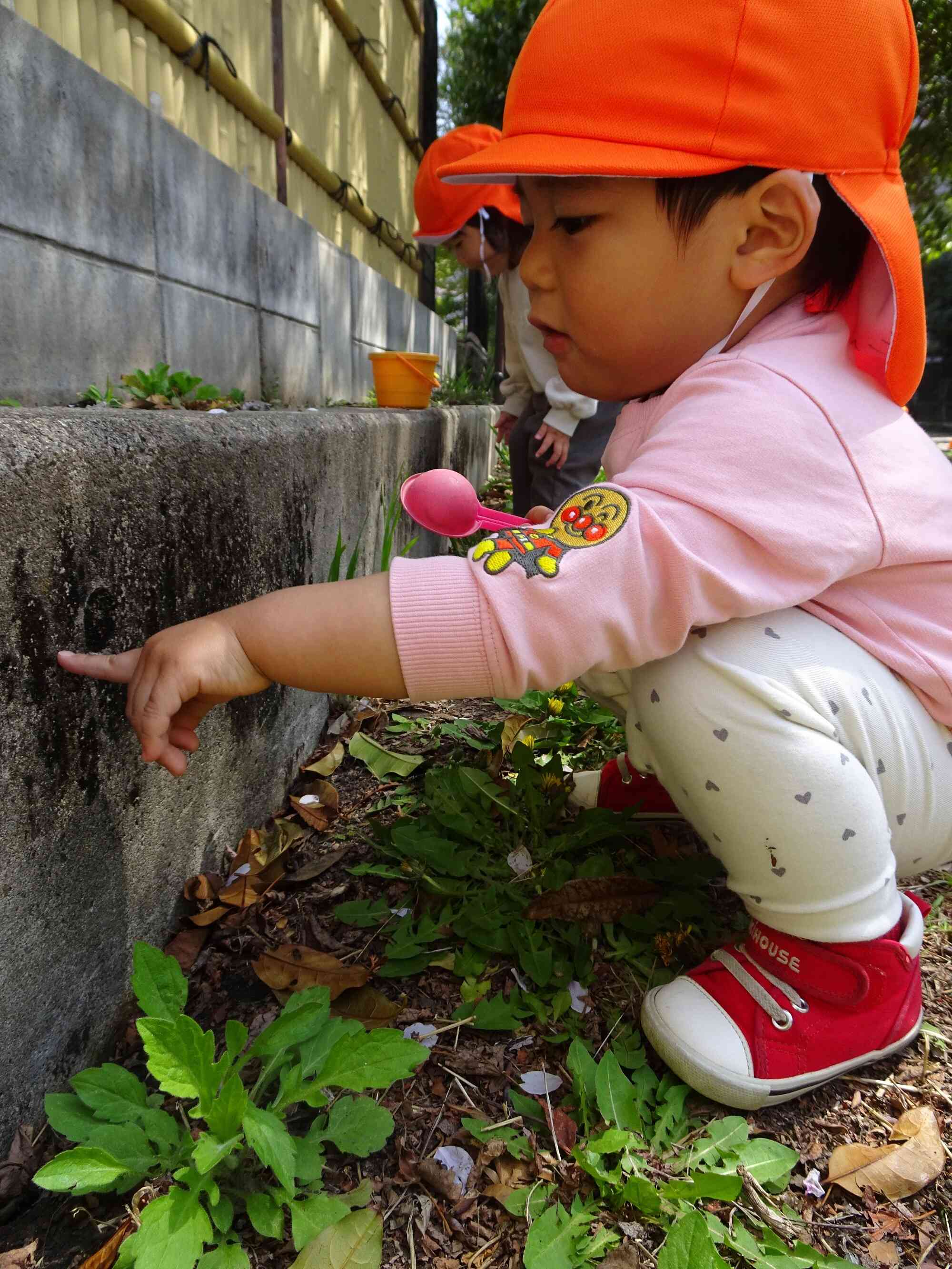 緑道公園へ行きました