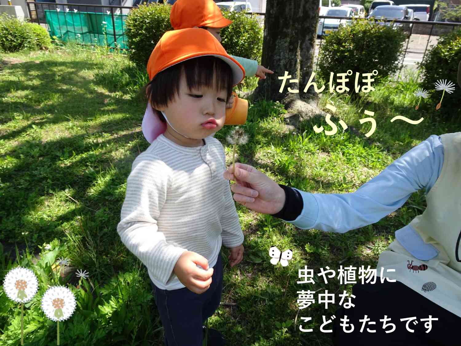 アリやダンゴムシを探したり、植物を観察したり、自然の中でおもいっきり遊びます！